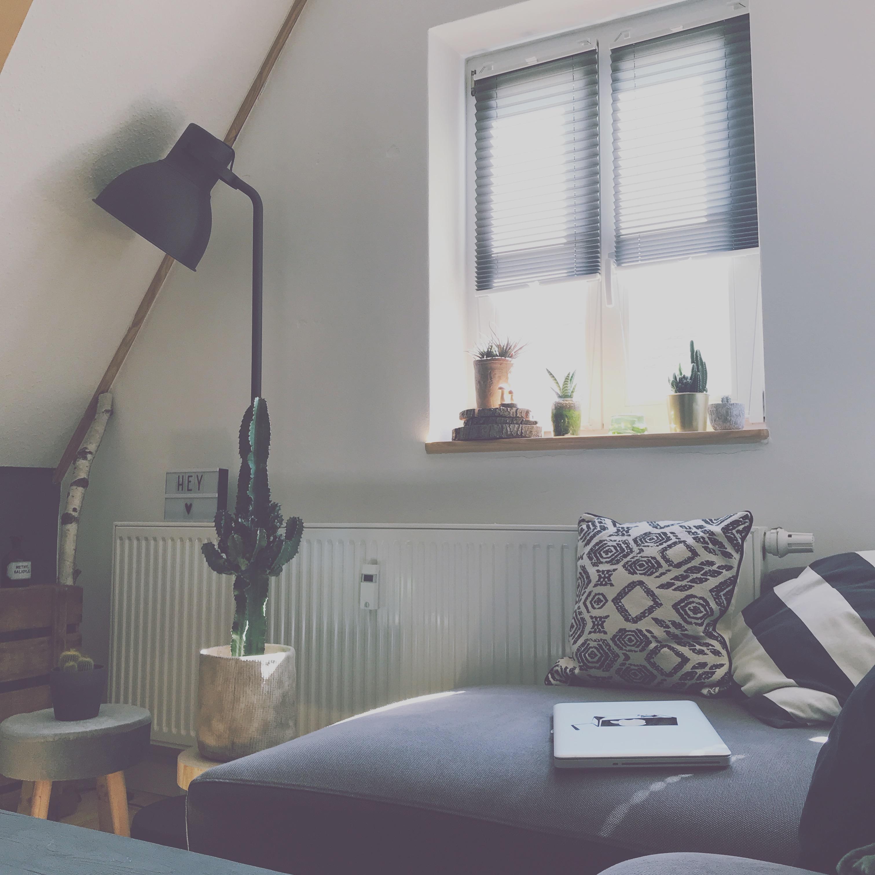 #interiorstyle #couchstyle #kaktus #wohnzimmer