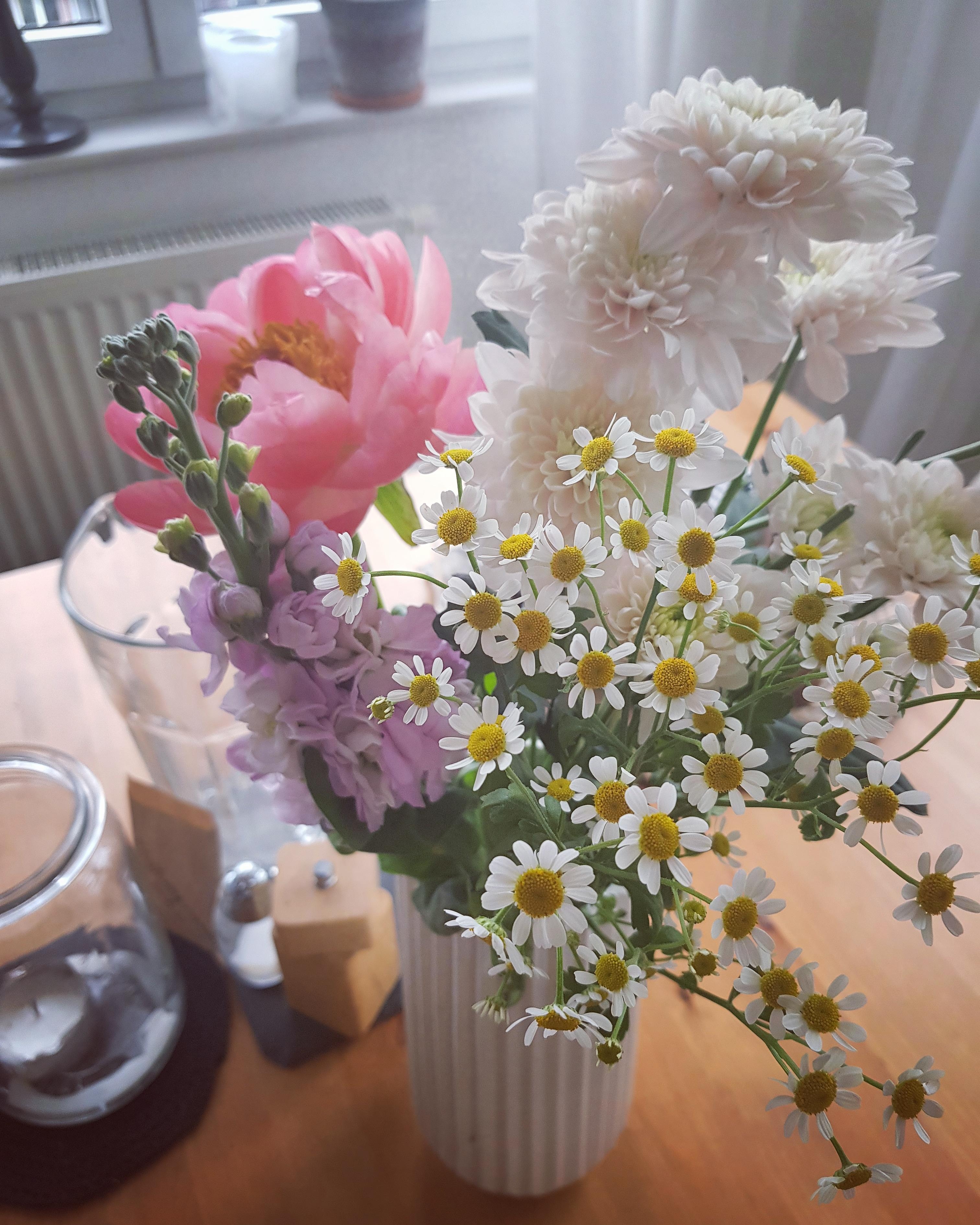 It was a very tough week... daher Kamille, Pfingstrose, Chrysantheme & Levkoje zum Freitag
#freshflowerfriday #grateful