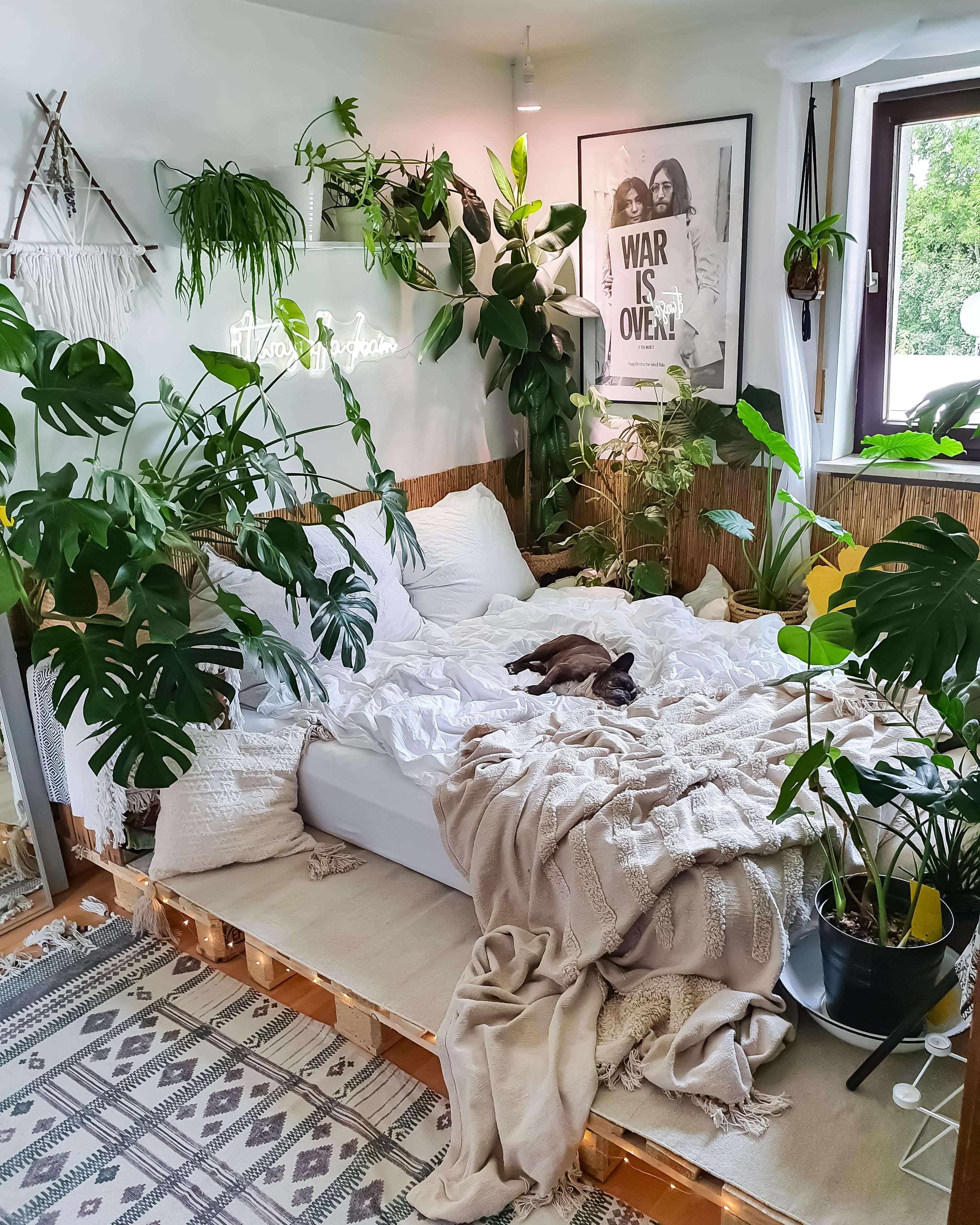It was all a dream 💭 #Schlafzimmer #Pflanzen #boho #hippie #hygge #Paletten #Poster 