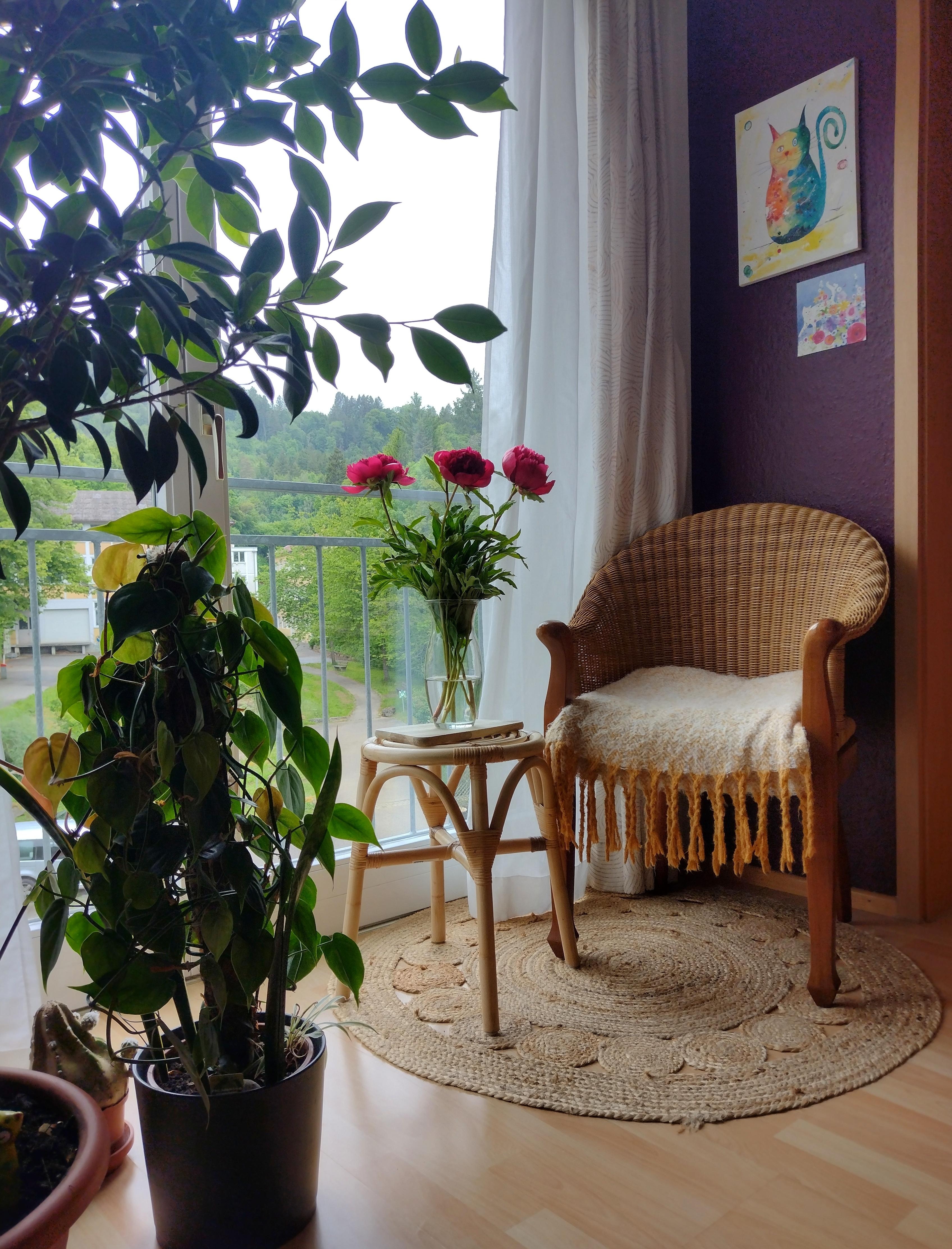 It's a rainy day...🎶🎶🎶
#pfingstrosen #frischeblumen #blumenliebe #vintagesessel #zimmerpflanzen #holzhocker #runderteppich