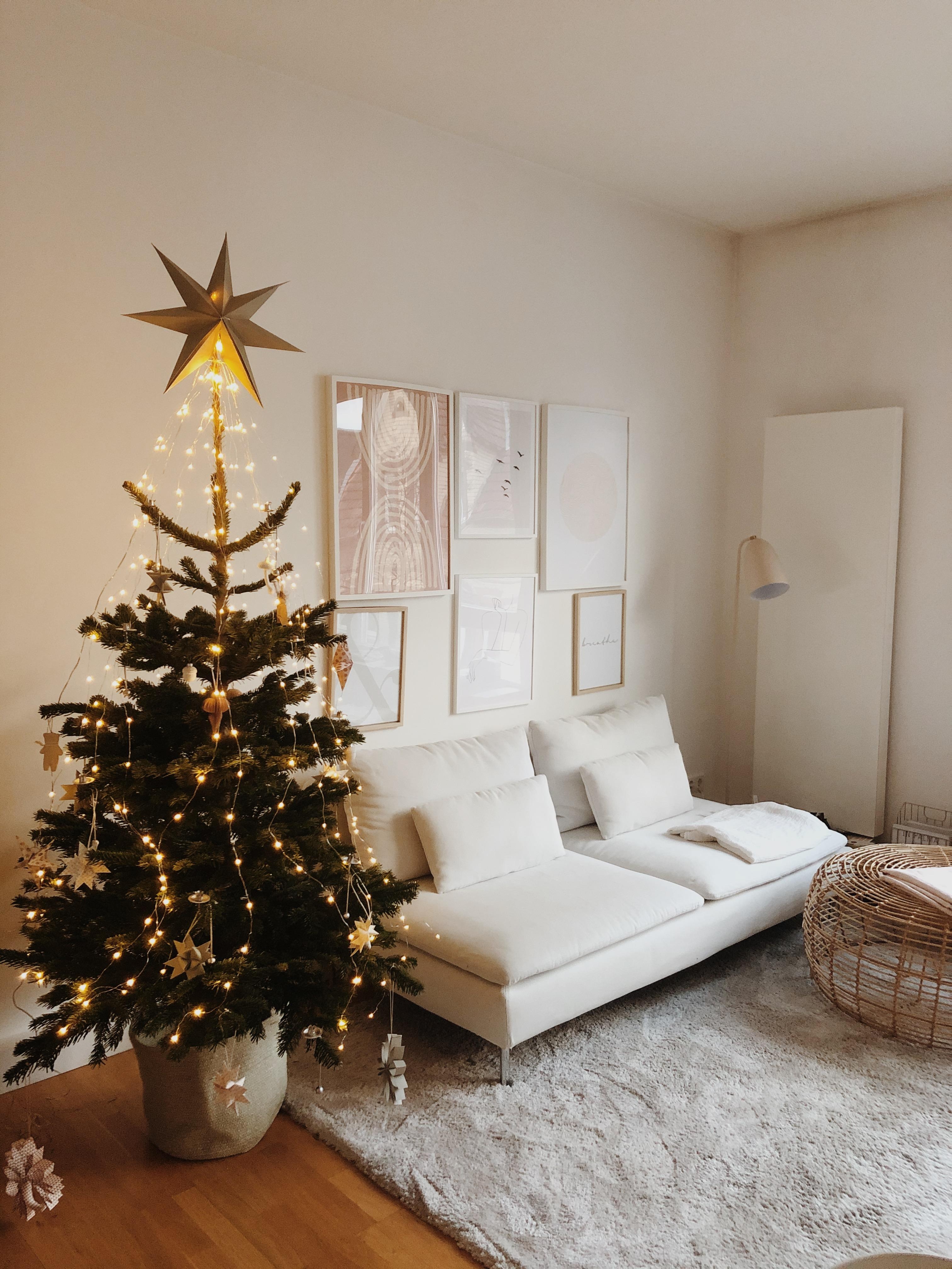 It‘s beginning to look a lot like Christmas... #weihnachten #tannenbaum #homesweethome #vorfreude