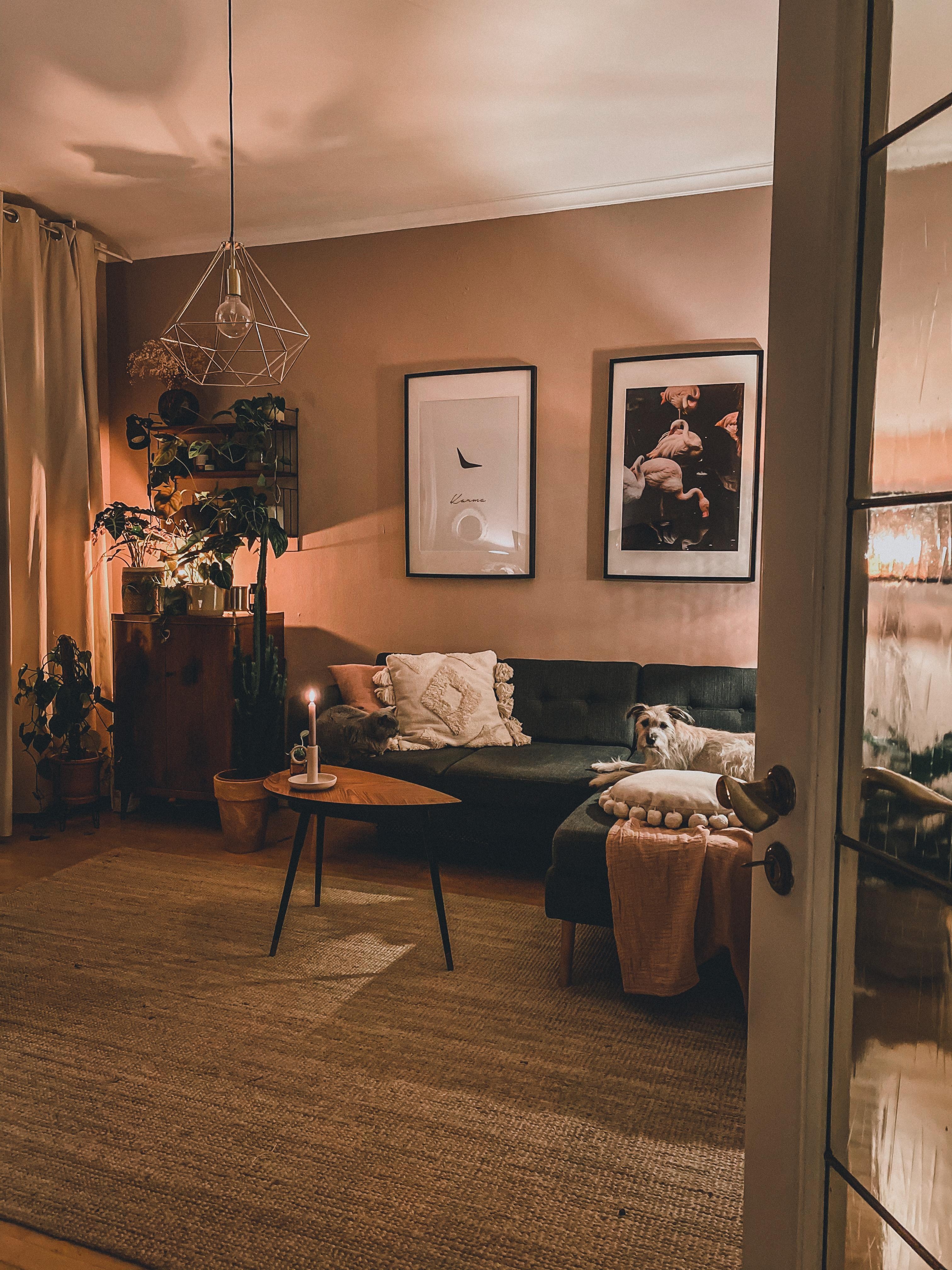 it‘s cozy time #livingroom #planteriordesign #planterior 