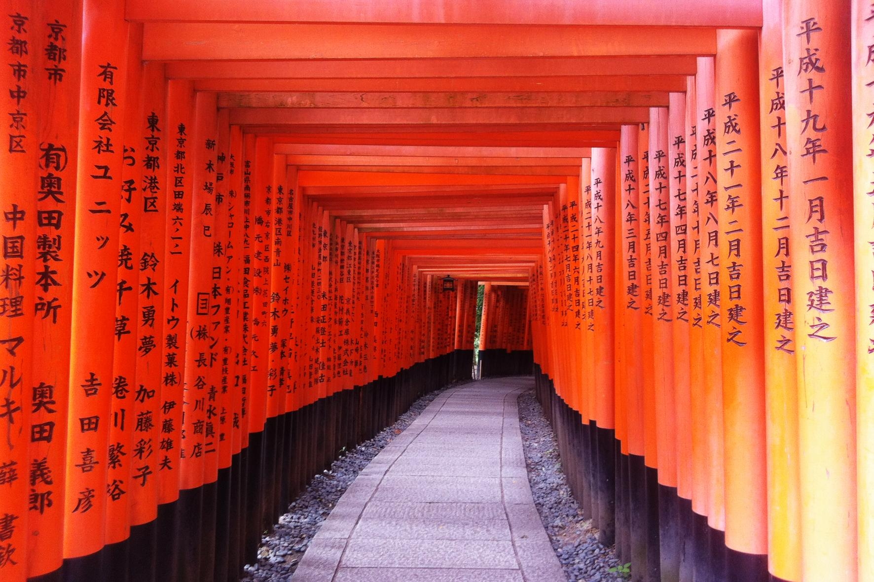 #japan #kyoto Fushimi Inari #breathtaking #magischeorte 🎎