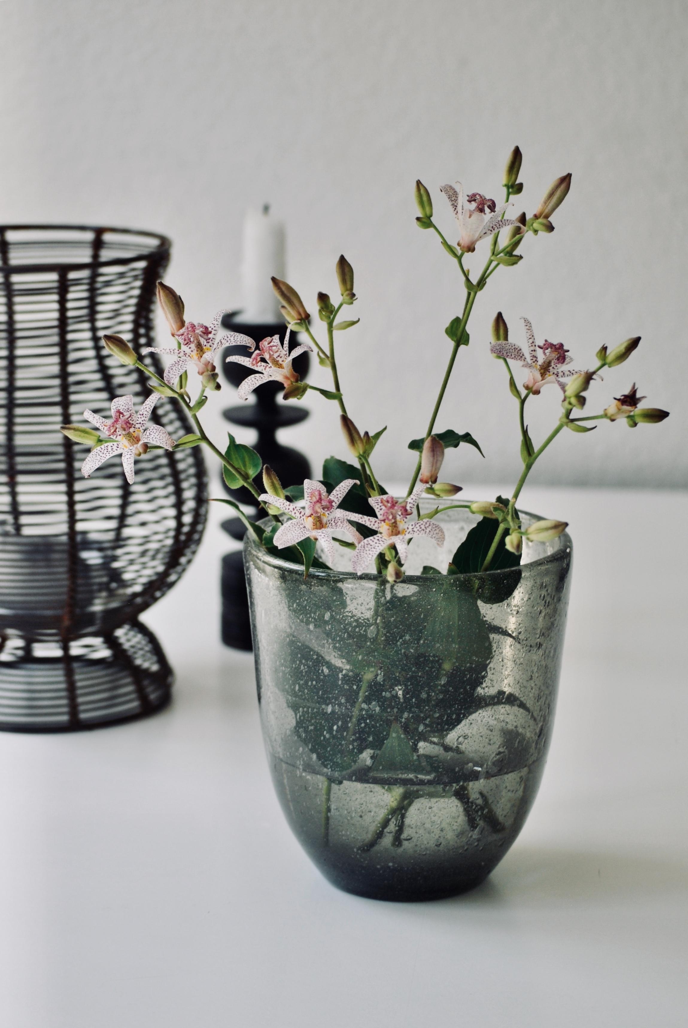 #JapanischeKrötenlilie auf meinem Esstisch 💕 
#Windlicht #Kerzenständer #Esszimmer 