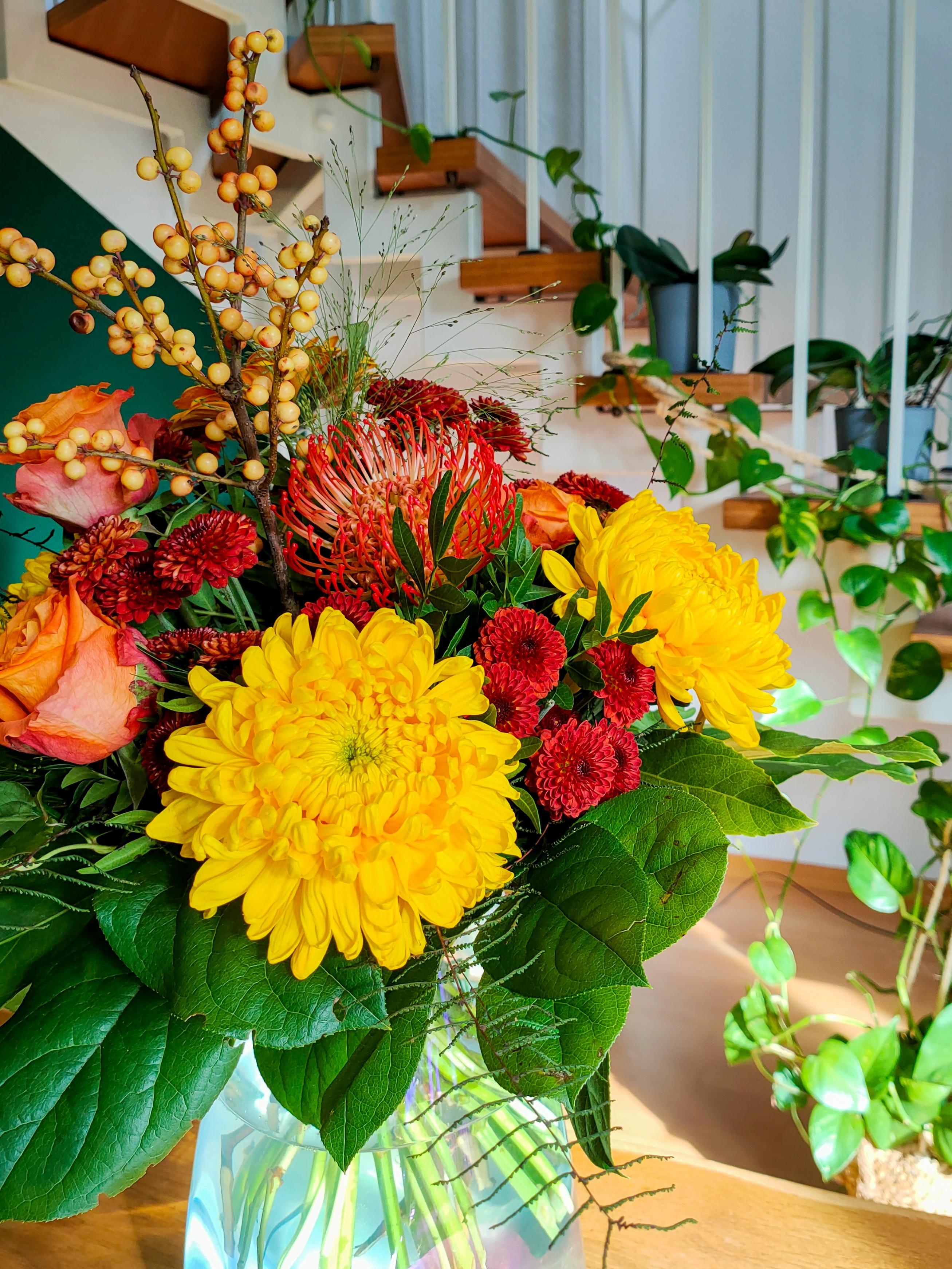 Jetzt ist er doch da, der Herbst.
Aber mir seinen leuchtenden Farben zaubert er so einem auf jeden Fall ein Lächeln ins Gesicht 
#blumenliebe #herbstfarben #halloherbst