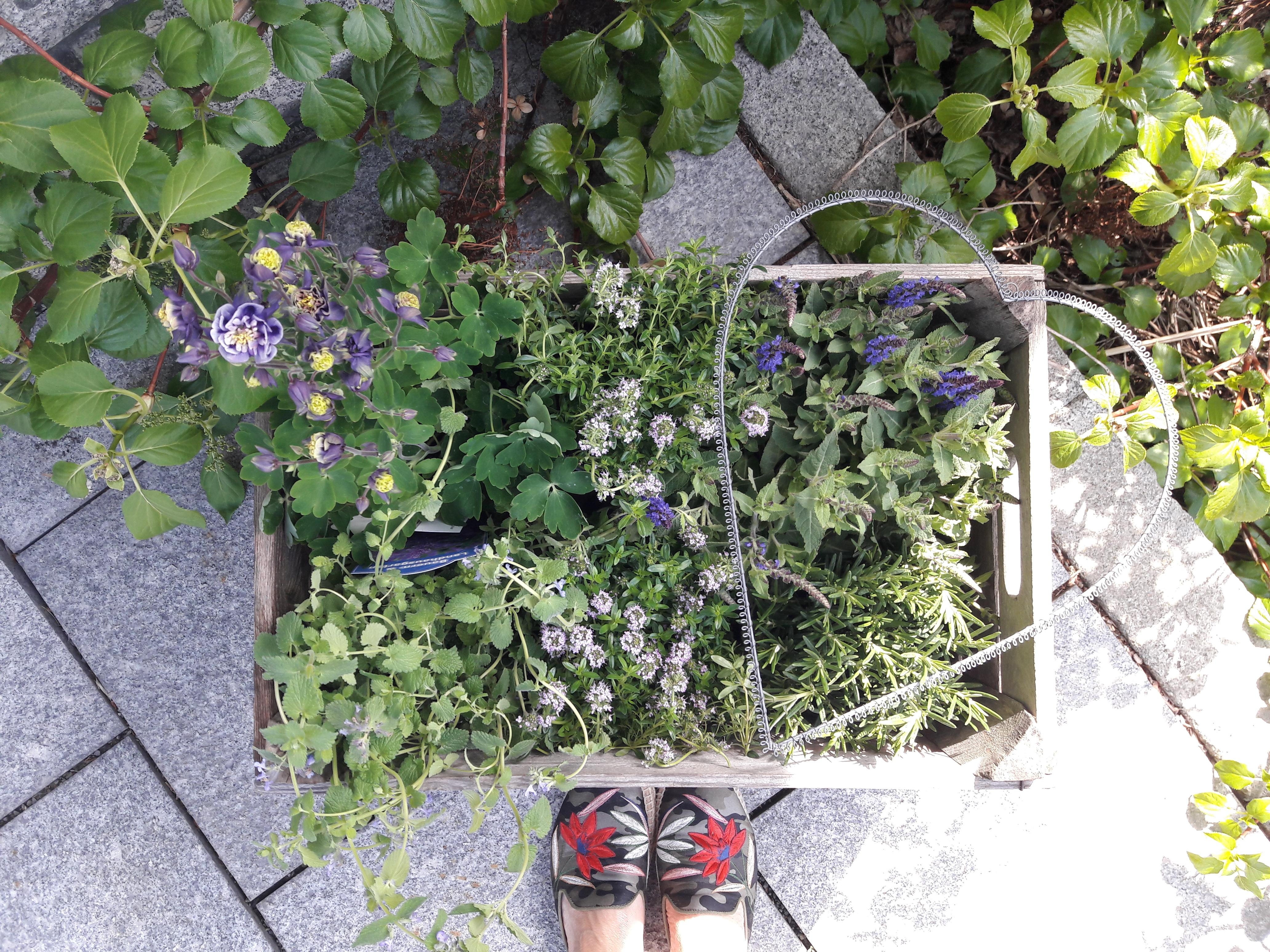 Juhu, Gartenzeit!!!
#garten #pflanzen #outdoor #obstkiste #gardening #herz