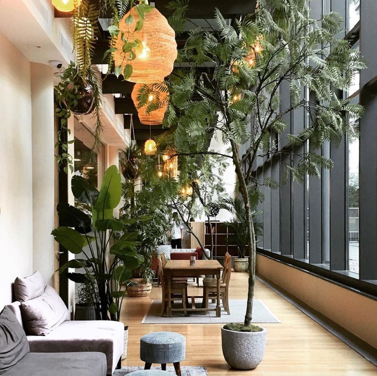 Jungle interior 🌴 #interior #pflanzen #einrichtung #style #plants #zimmerfpflanzen #urbanjungle