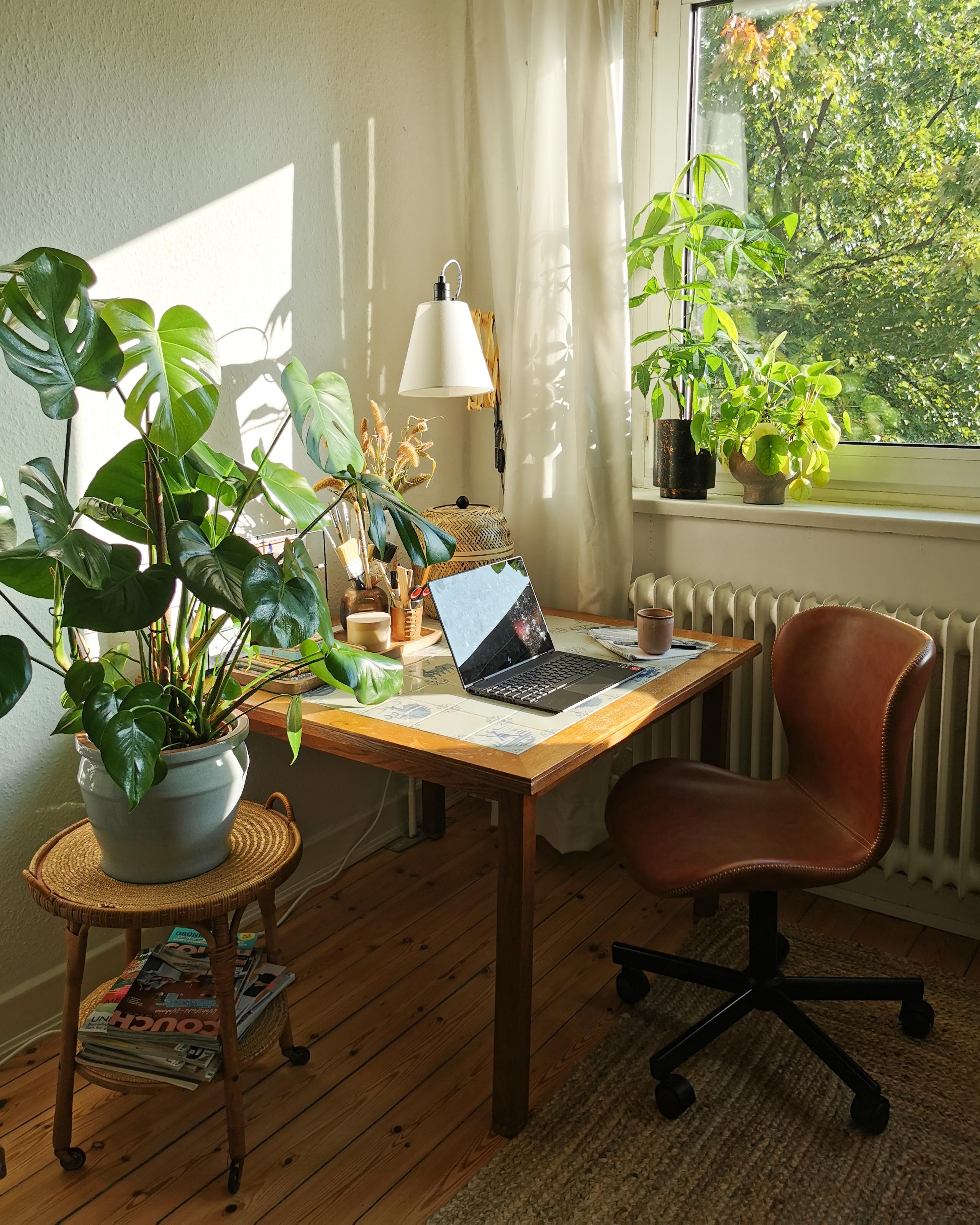 Jungle-Office 🌿 #desk #office #schreibtisch #scherenlampe #plants #pflanzen #urbanjunglehome #monstera #pilea 