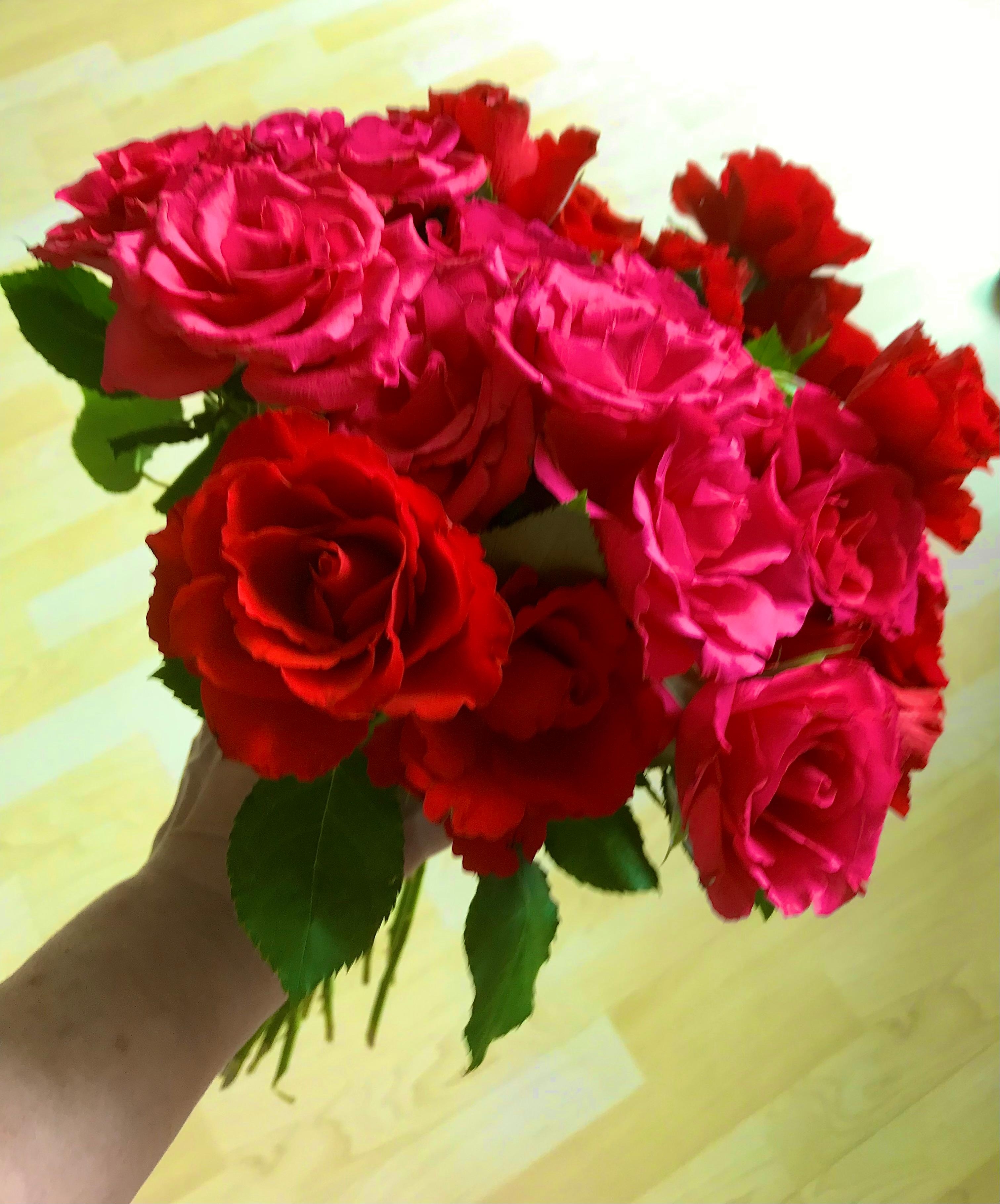 JUNI - Hochblüte der Rose 
#blumenliebe #rote #rose #geburtstag