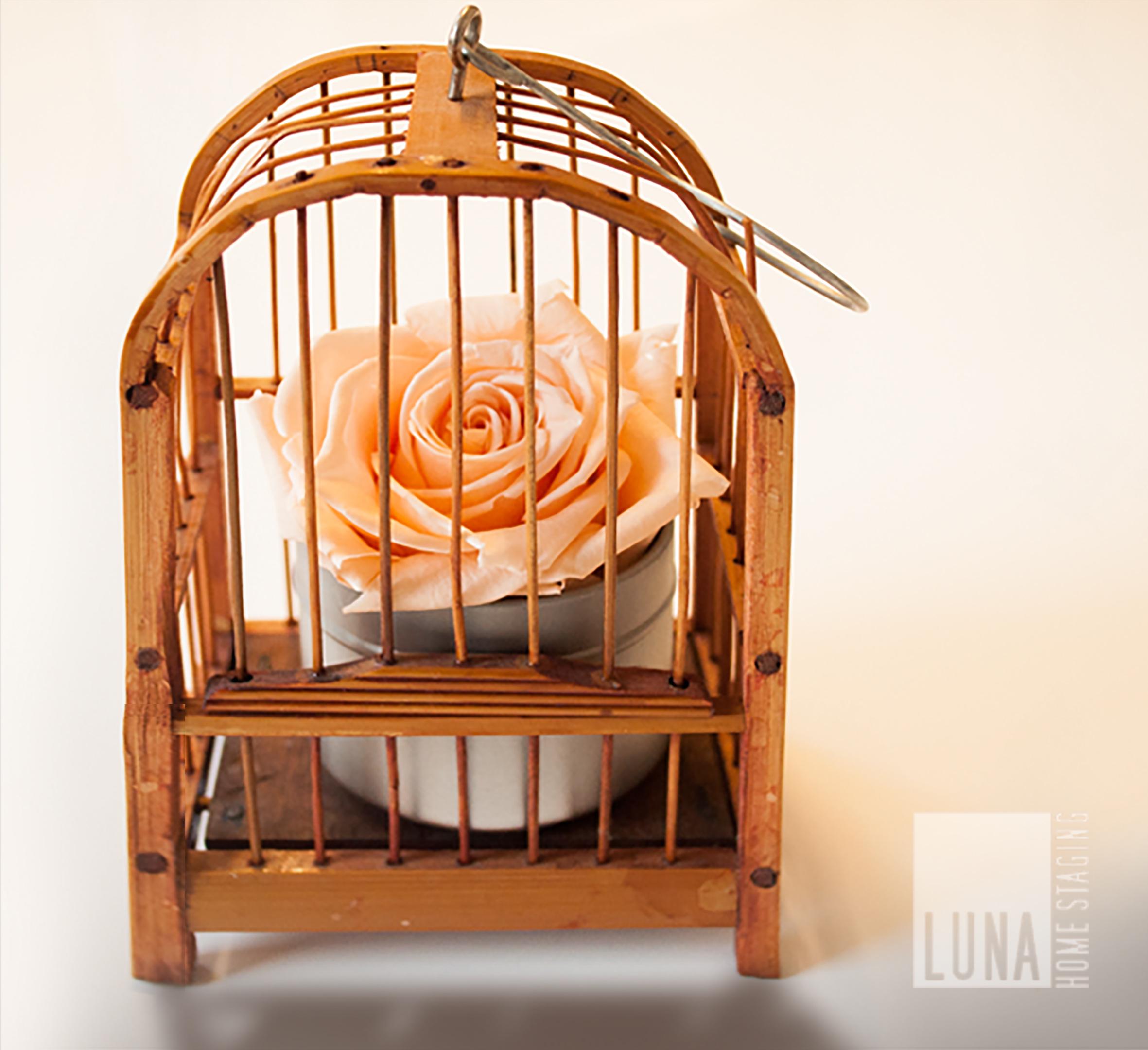 Käfig mit rose #blumendeko #vogelkäfig #geschenkidee ©Luna Homestaging