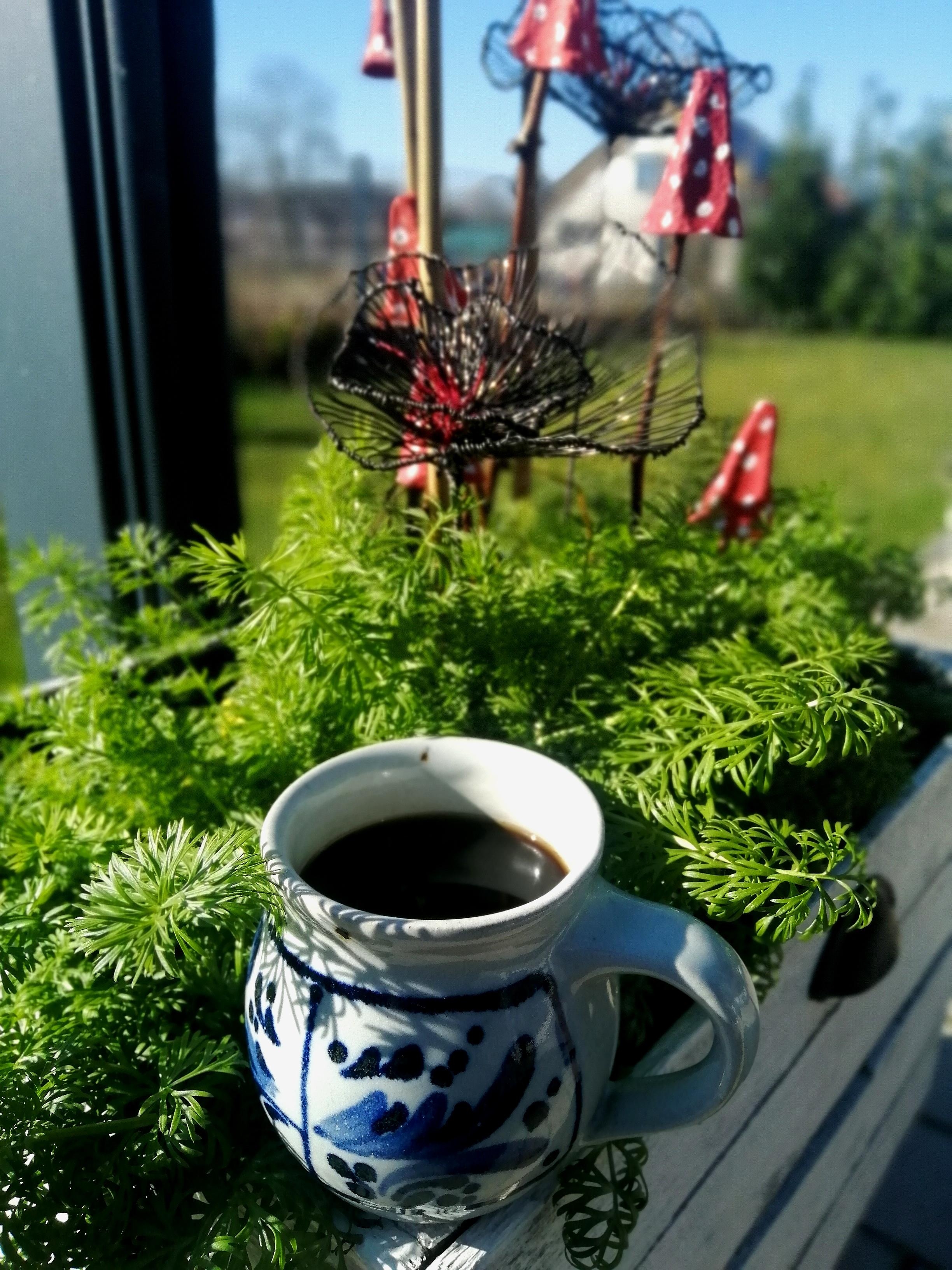 Kaffee ☕  aus der Lieblingstasse, Sonne🌞 und Garten #kaffeehilft #foodchallenge #garten #kaffee #pflanzen 