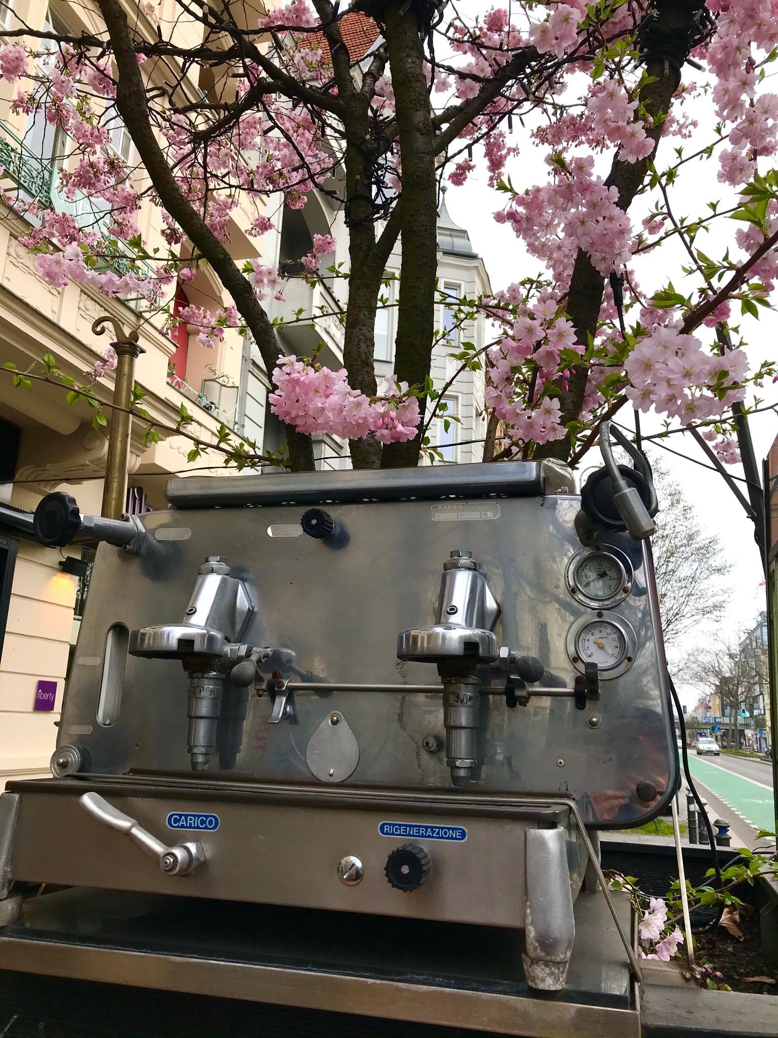 Kaffee und Frühling - eine fantastische Kombination!
#frühling #springvibes #butfirstcoffee