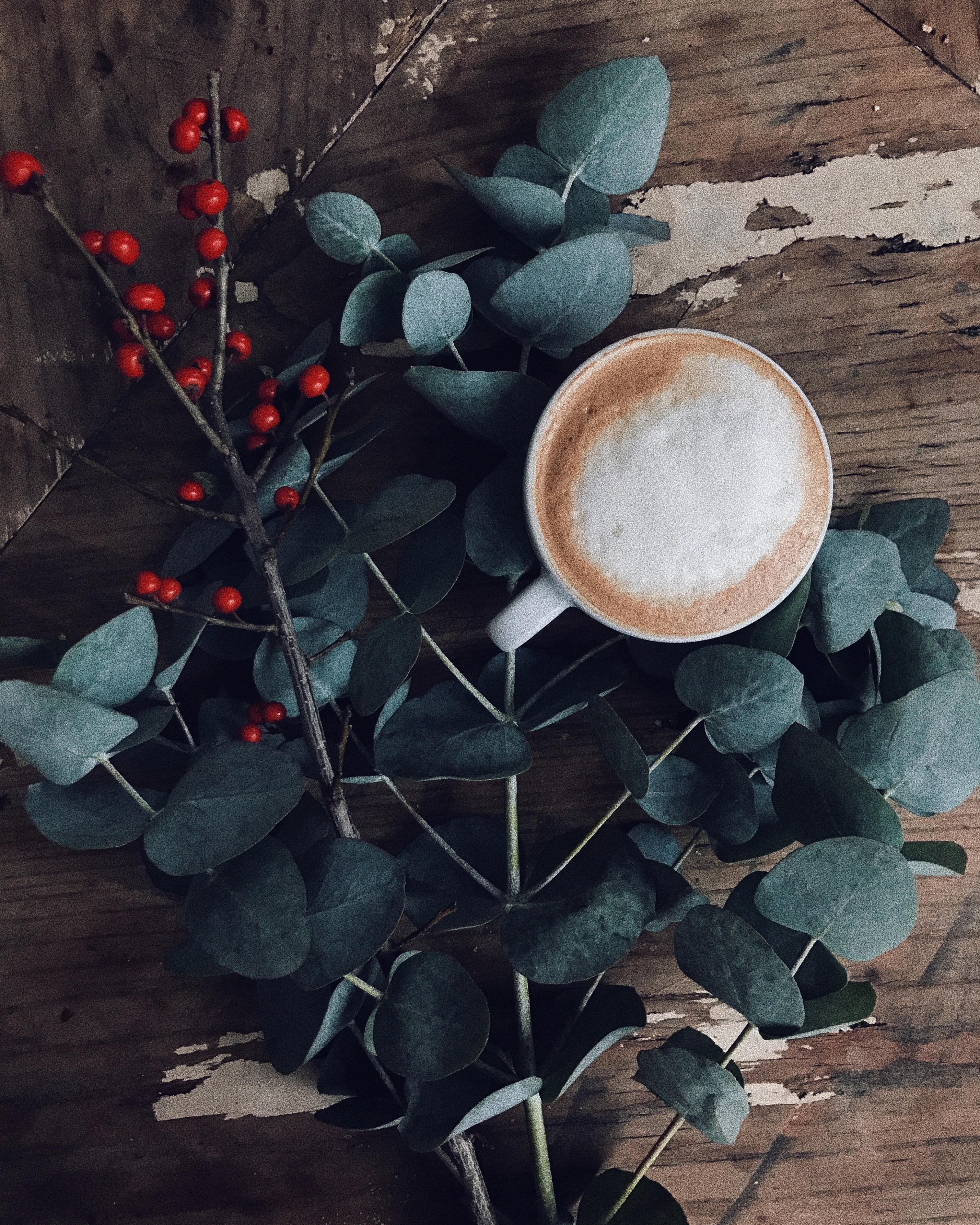 Kaffeeliebe & Eukalyptus #eukalyptus #coffee #coffeelover #kaffee #flatlay