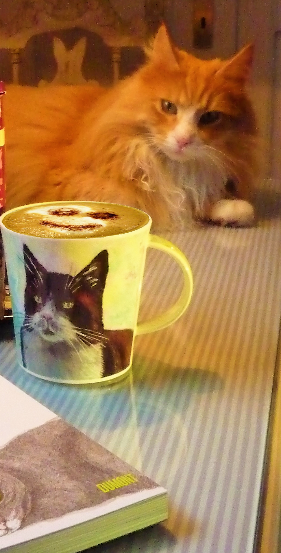 #kaffeeliebe #livingchallenge #coffeeandcats 😻🐈 #coffeeandbooks #lieblingsbecher #adoptdontshop #kaffeepause 