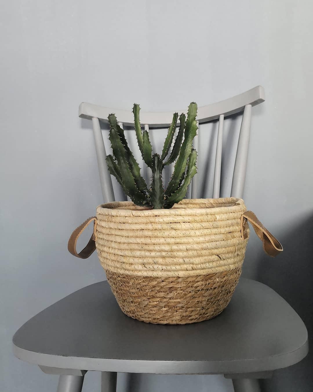 #kaktus #chair #stuhlliebe ##korbliebe #scandi