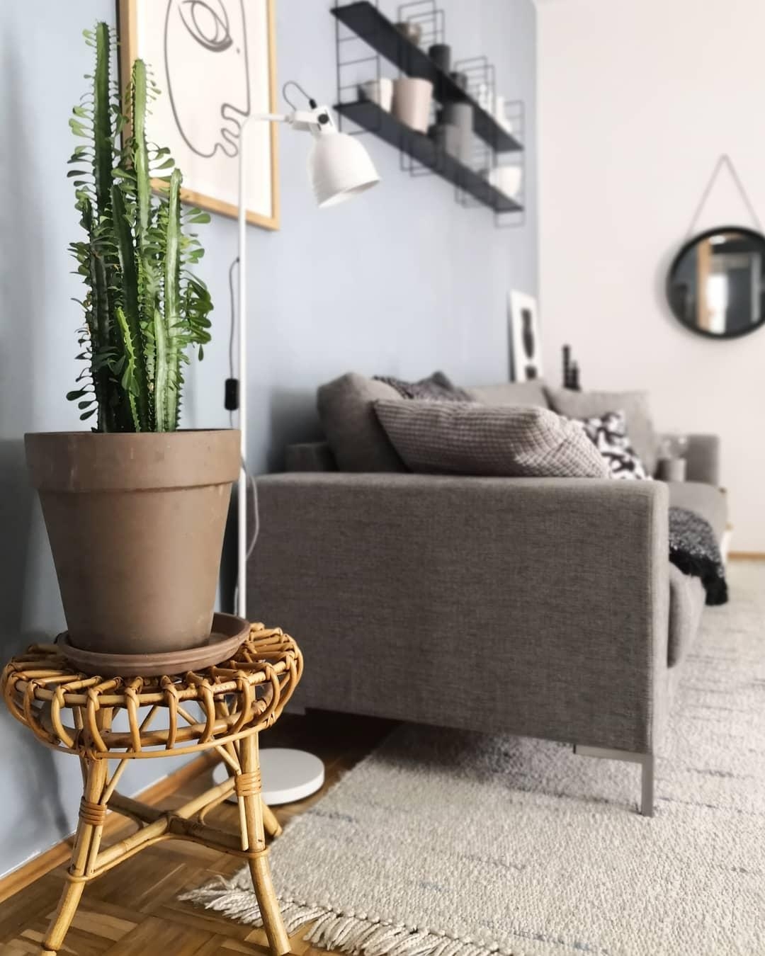 #kaktus #couch #wohnzimmerideen #livingroom #pflanzen #shelf 