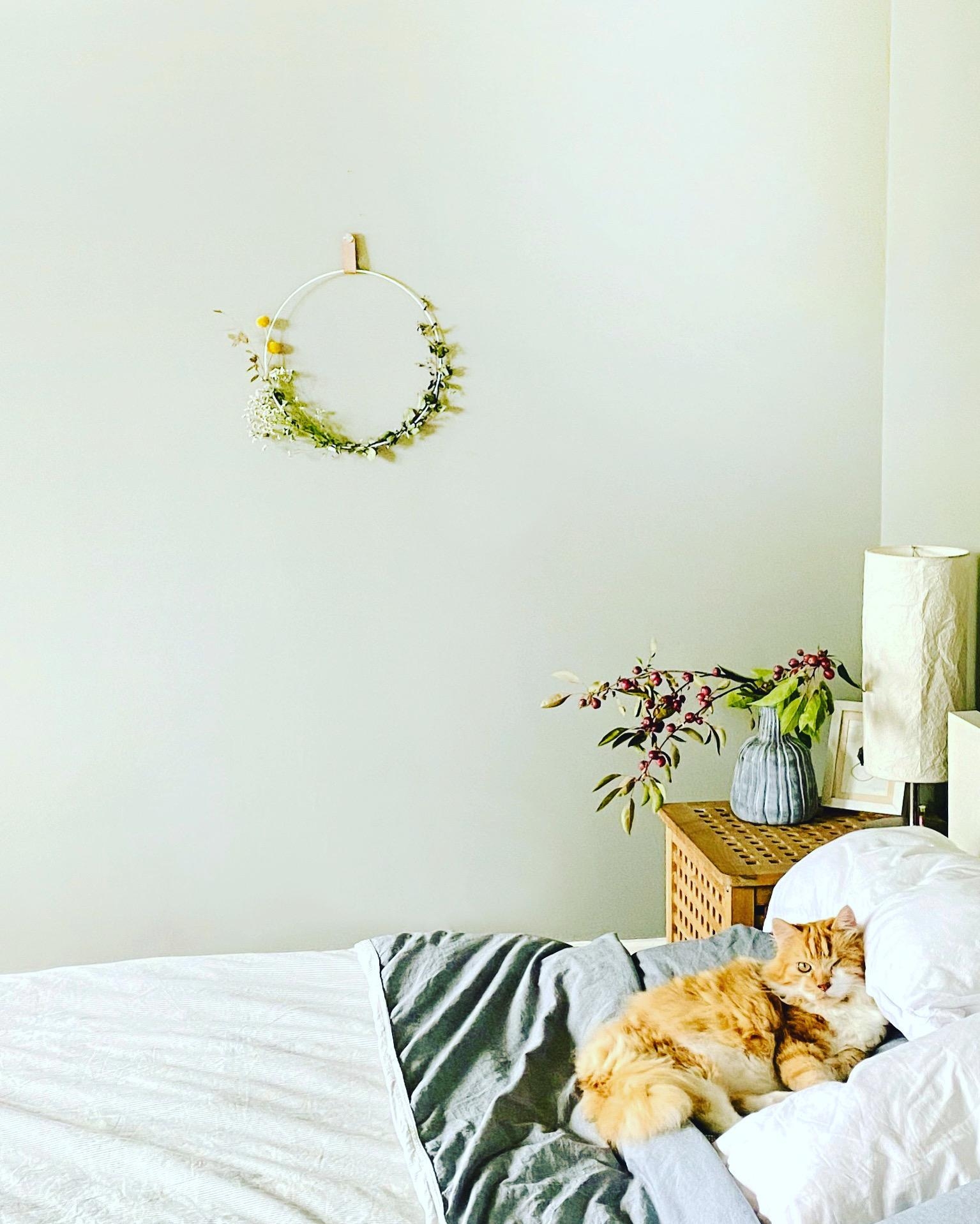 Katze müsste man sein ...

#schlafzimmer #bedroom #vasenliebe #schlafzimmerideen #katzenliebe #kranz #zierapfel