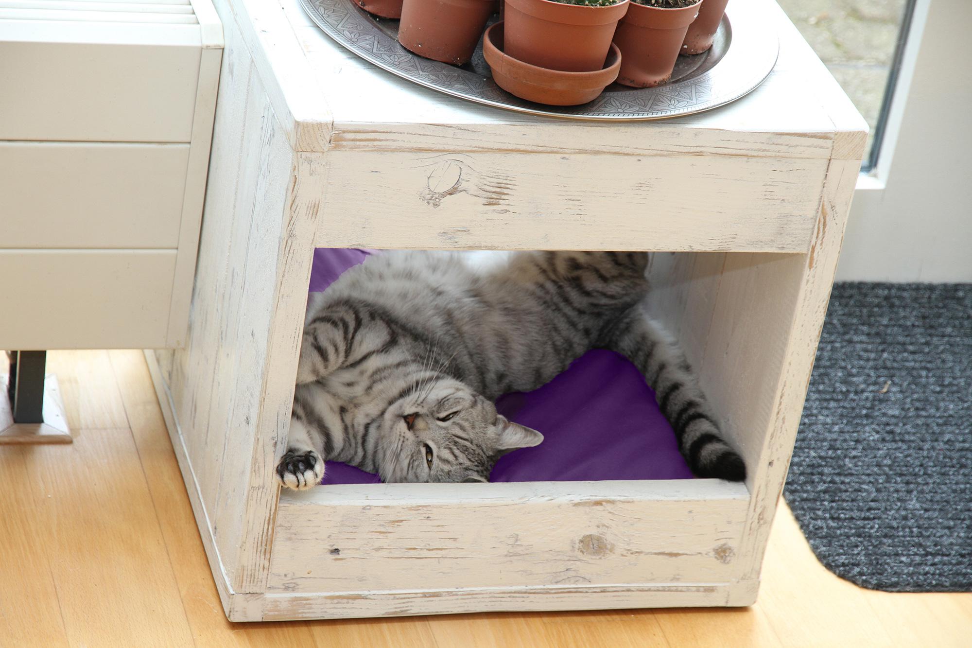 Katzenbett als Beistelltisch #beistelltisch ©binq design