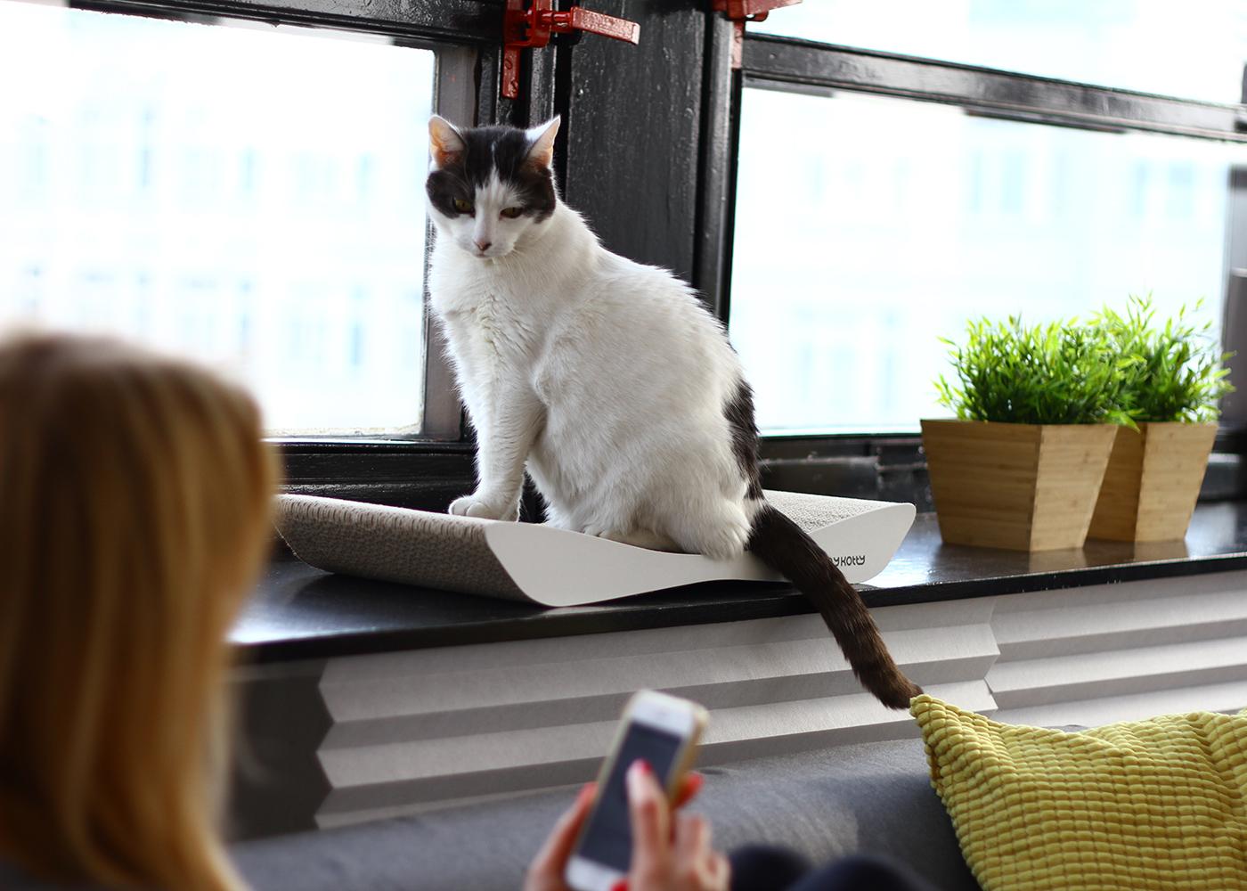 Katzenliege für die Fensterbank #katzenliege ©MyKotty