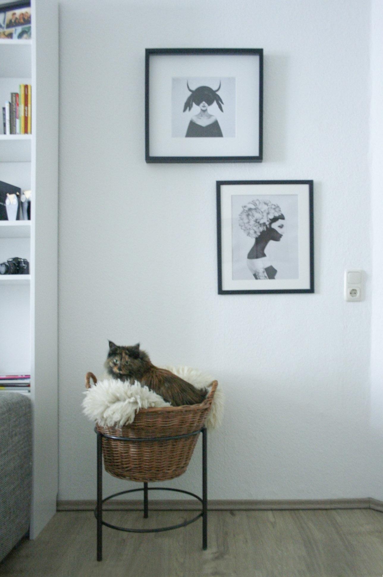 Katzenplatz. Jeder Platz. #wohnzimmer #cats #graphics #clean #snapshot