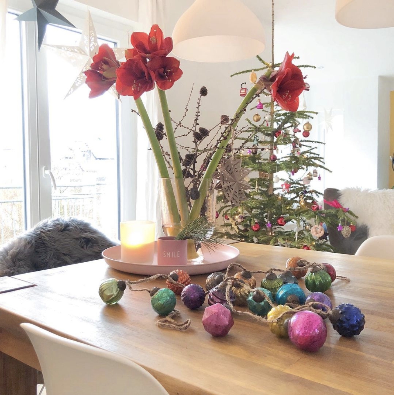 Kein Weihnachten ohne Amaryllis und hier blühen sie besonders schön <3

#amaryllis #livingroom #wohnzimmer
