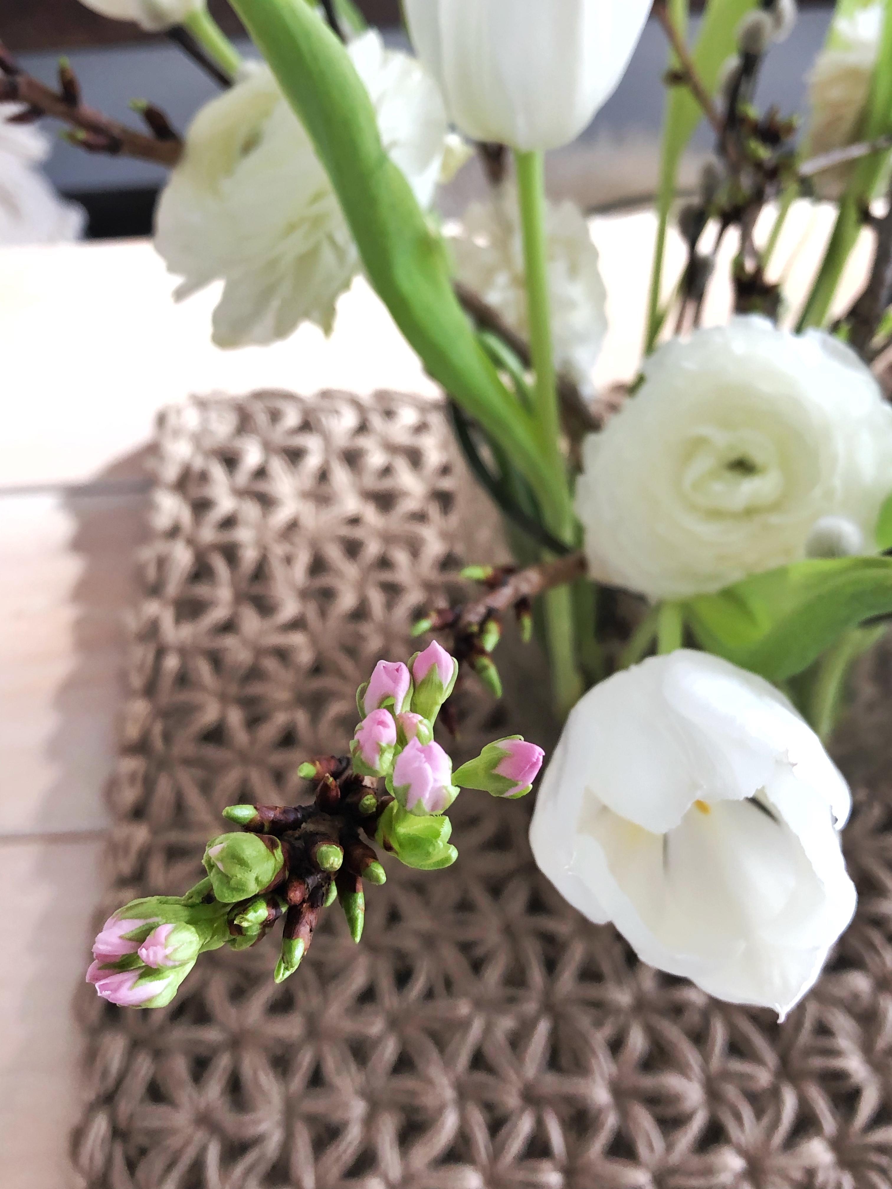 Kirschblüte 🌸 
#deko#flower#spring#detaillove#couchstyle