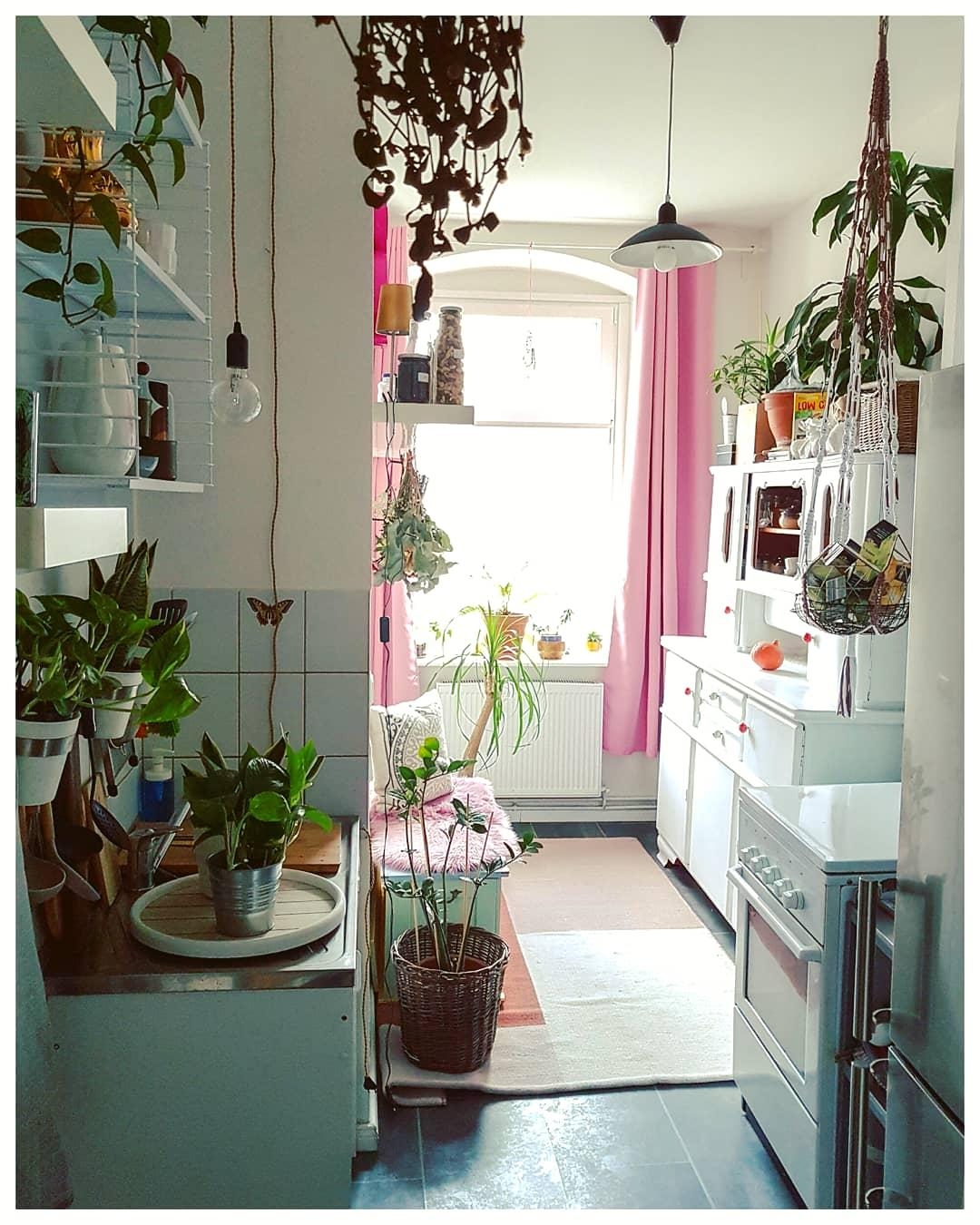 #kitchen #plant #vintagehome #bohohome 