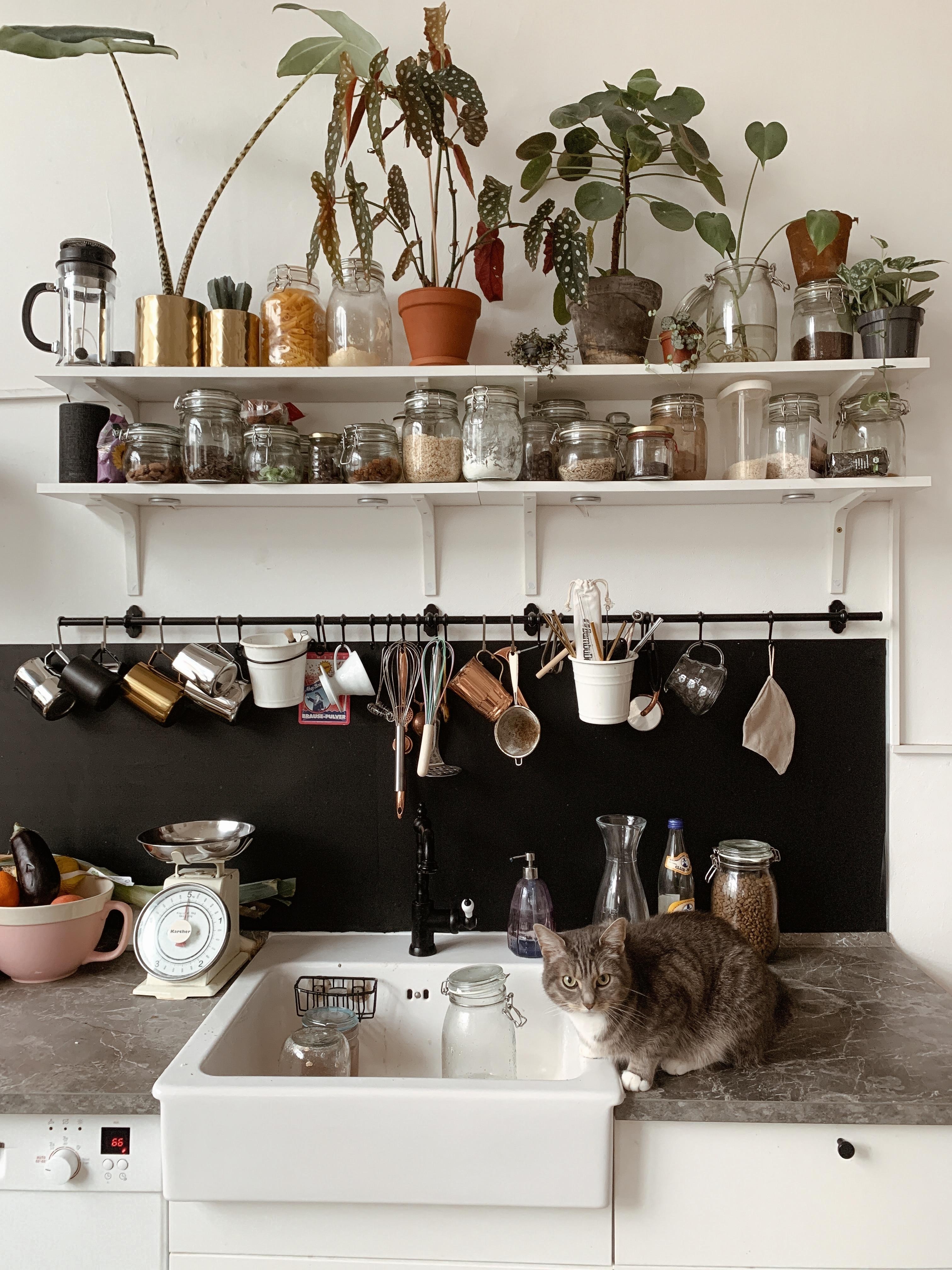 Kitchen stories 🌿 die Pflanzen fühlen sich übrigens immernoch ganz wohl hier in der Küche. #küche 