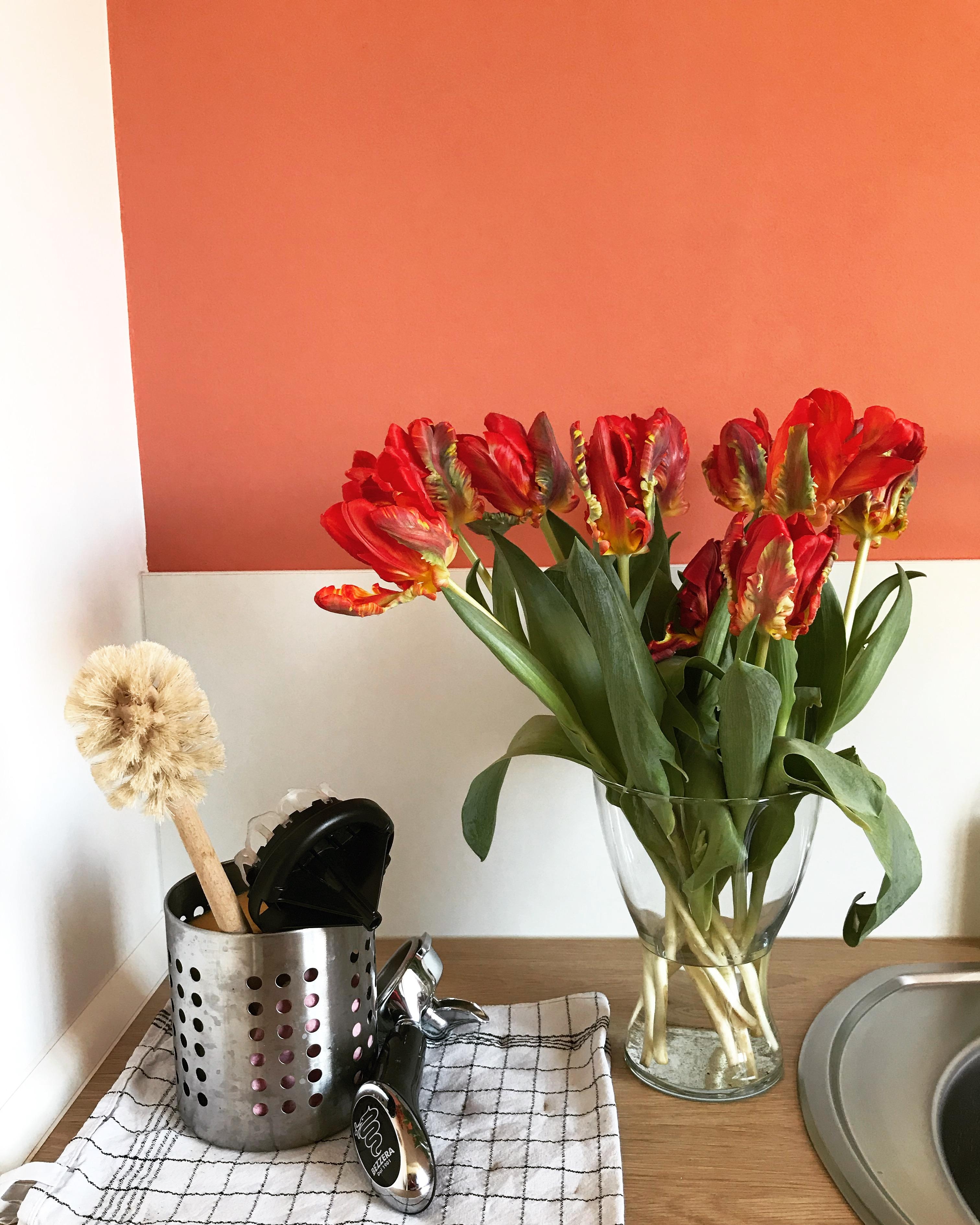 Kitchendetails. 🧡 ein paar frische Tulpen vor der neuen Wand 💕