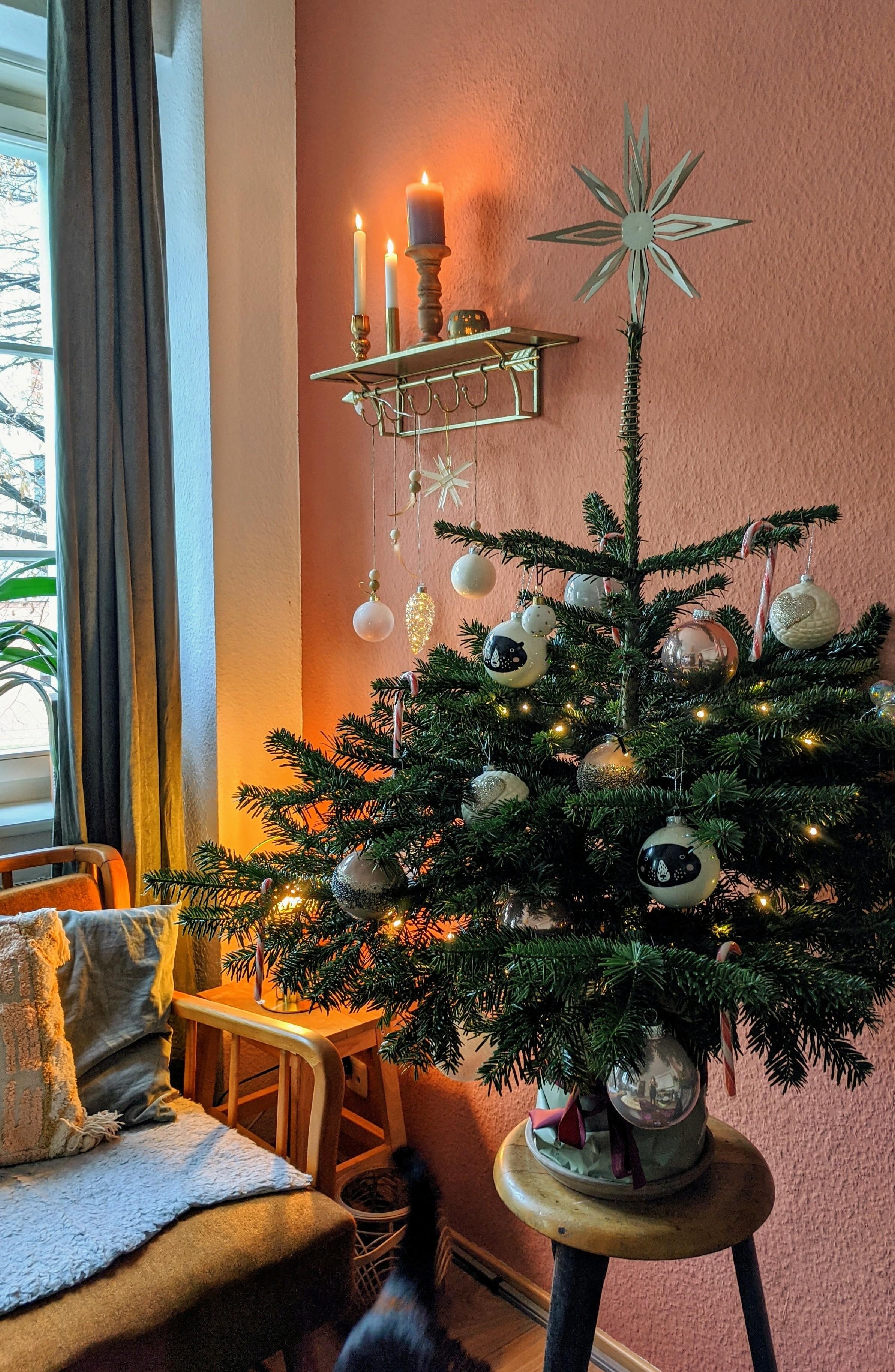 Klein, aber fein 🌲 #weihnachtsbaum #weihnachtsdeko #wohnzimmer #wandfarbe #hyggelig #boho #couch
