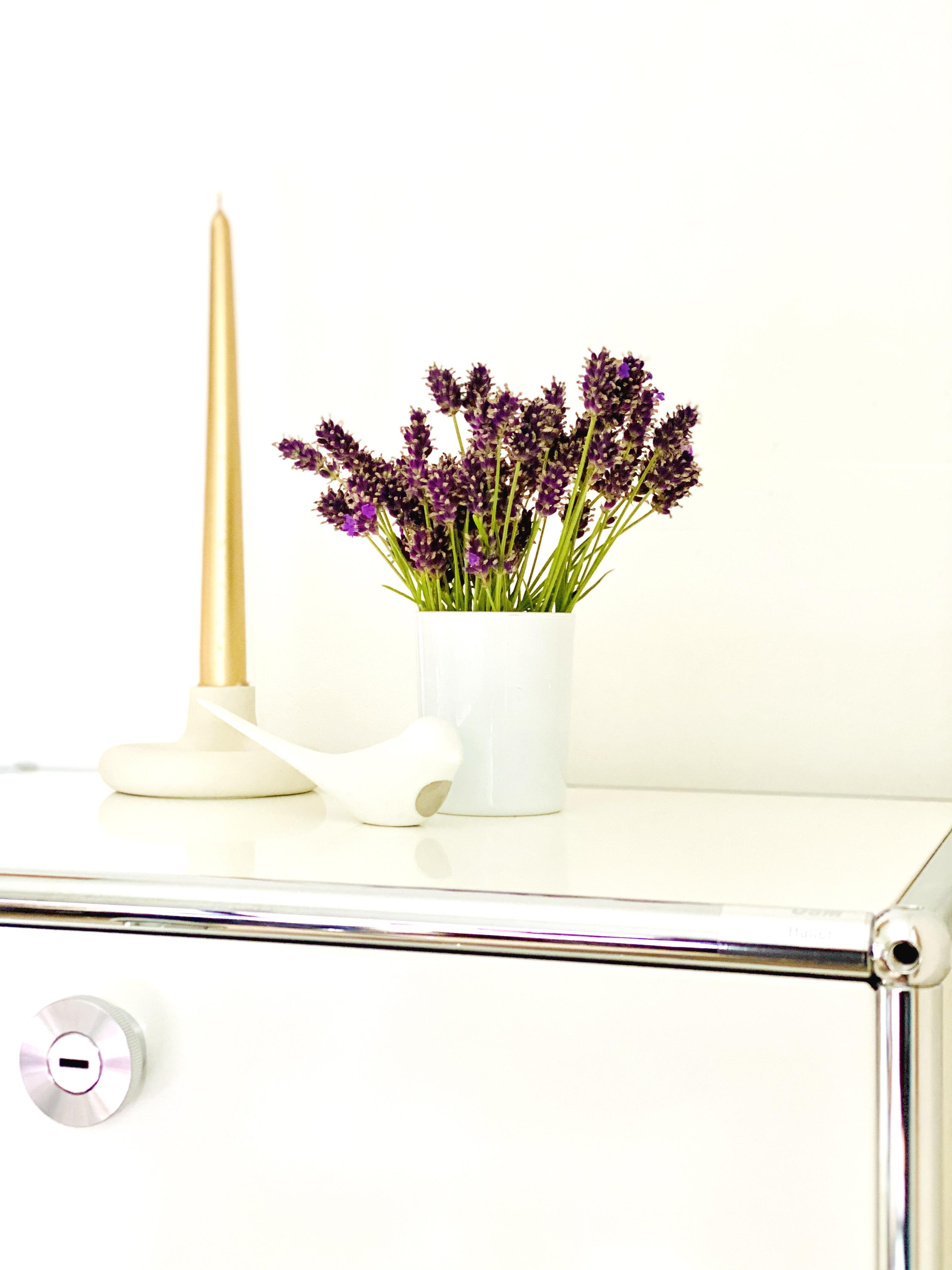 Kleiner Lavendelgruß zum Wochenende ...

#minimalism #lavendel #interior #usmhaller #whiteliving #freshflowers #vases 