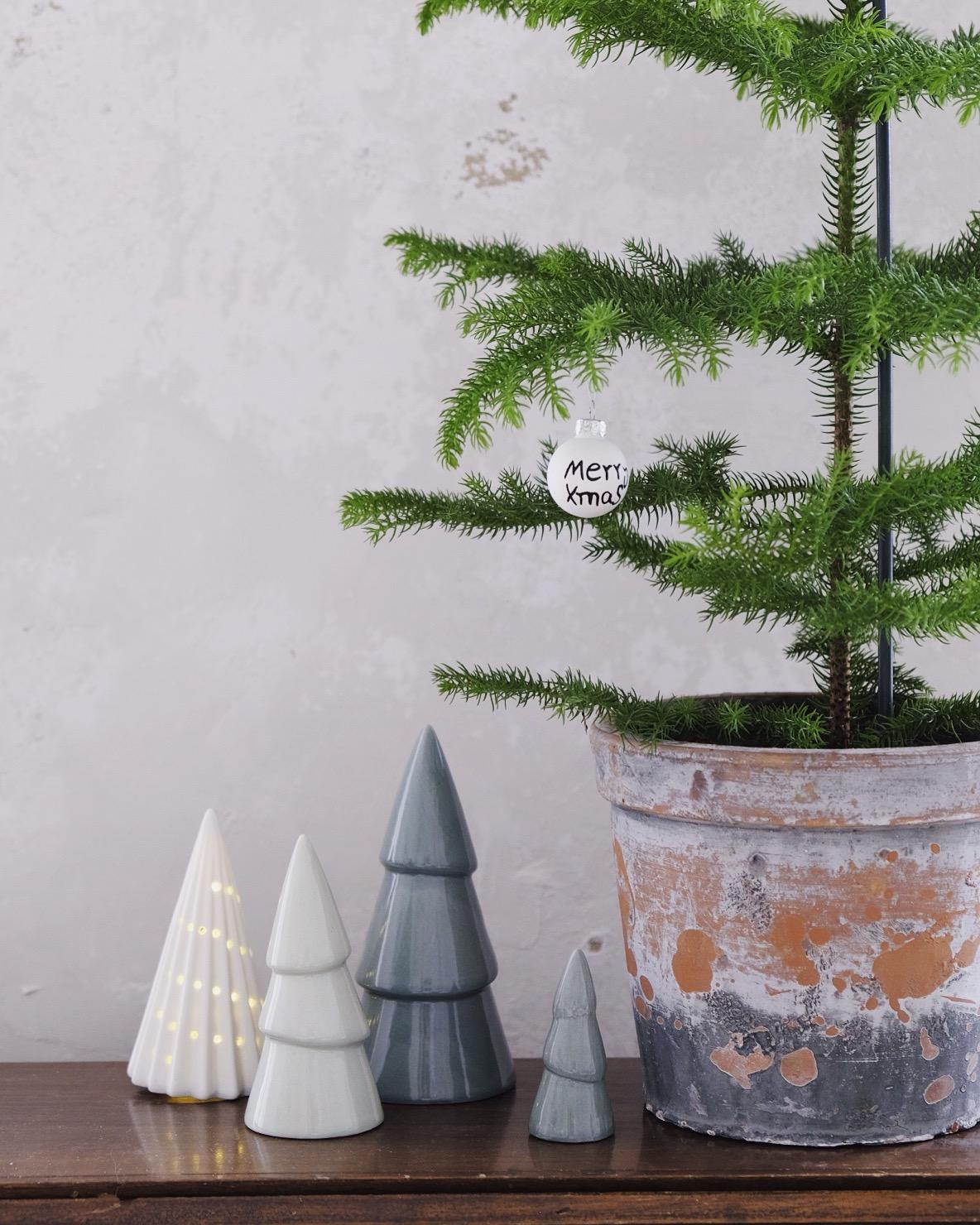 Kleiner Nadelwald 🌲
#xmasdeko #weihnachtsdeko #living #interior #skandistyle #weihnachten #zimmertanne #weihnachtsbaum 