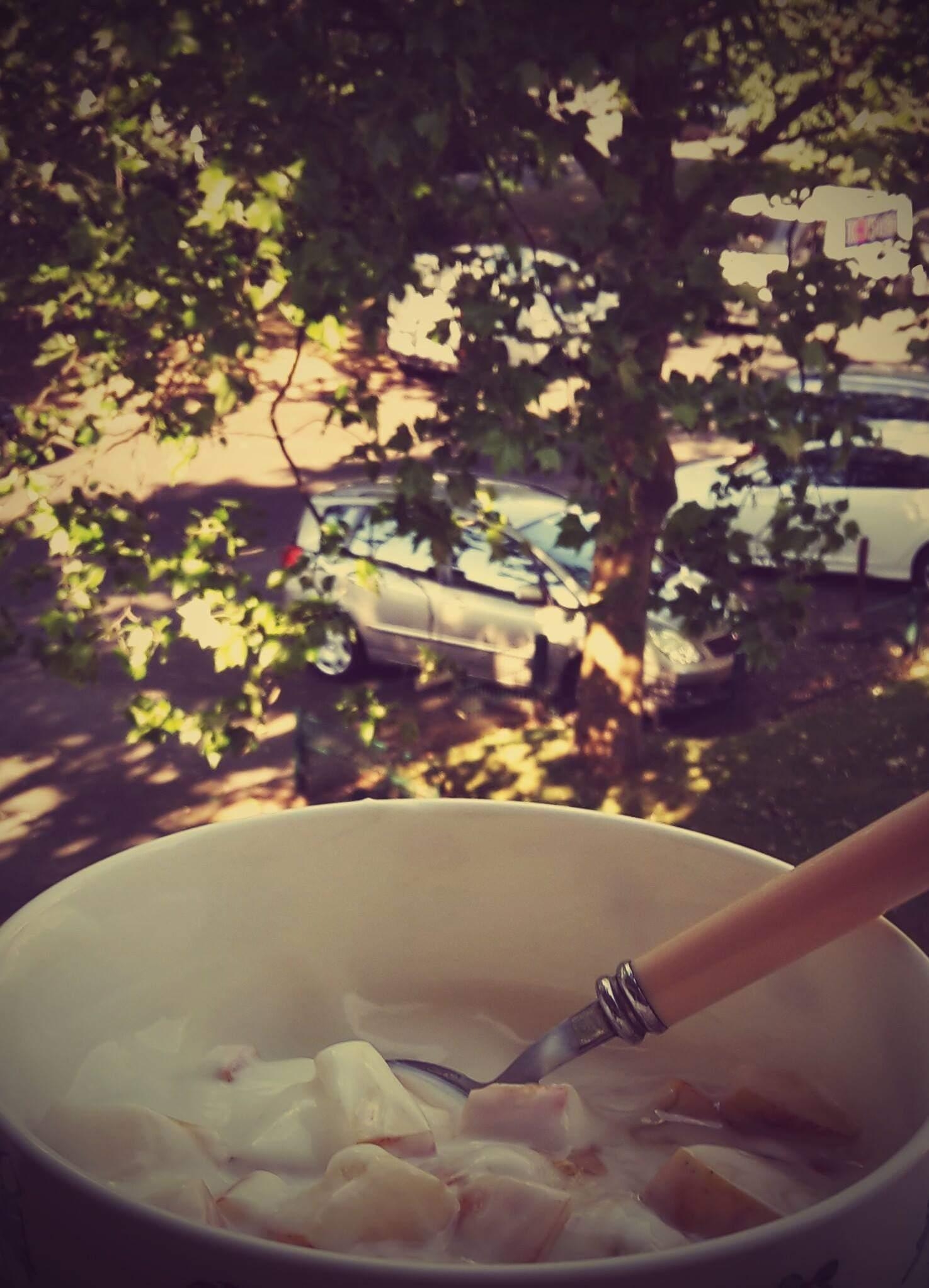 Kleiner Zwischensnack auf dem Balkon (Joghurt mit Äpfeln).
#Snack
#Äpfel 
#Joghurt 
#Balkon