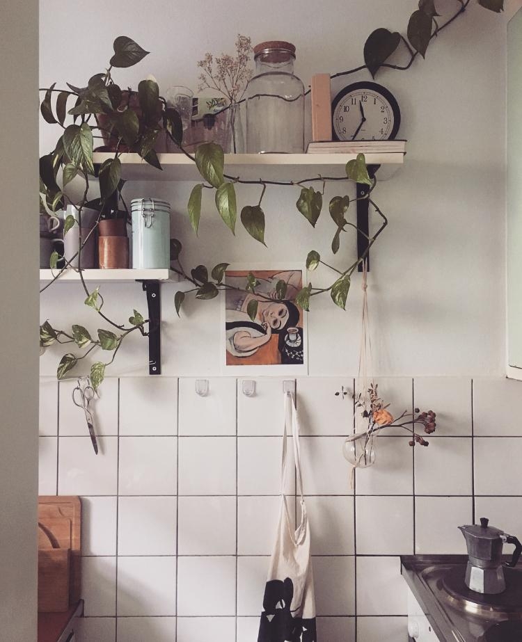 #kleinerraum #kleineküche #kleinewohnung #boho #pflanzen