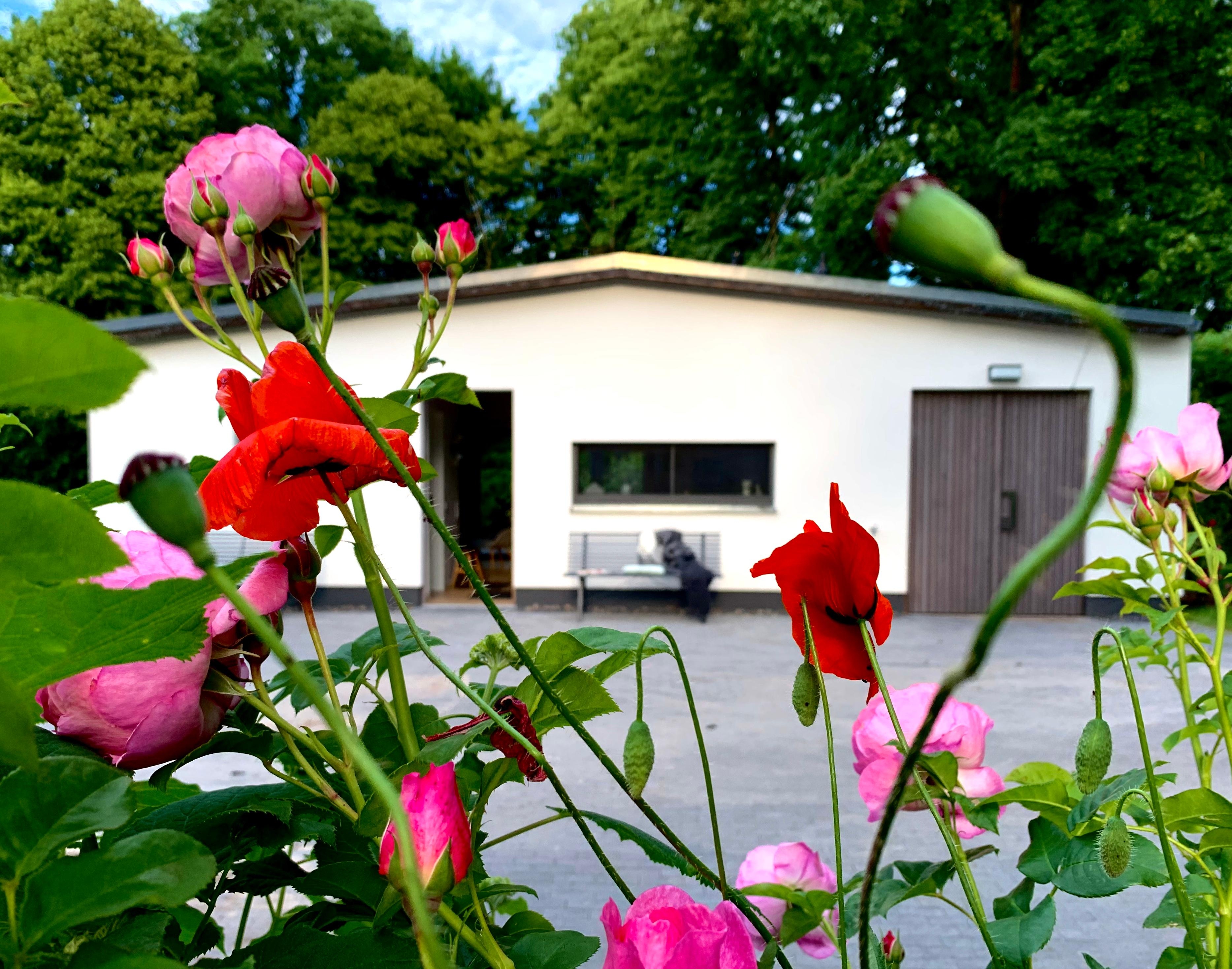 kleineshaus_stechlinsee