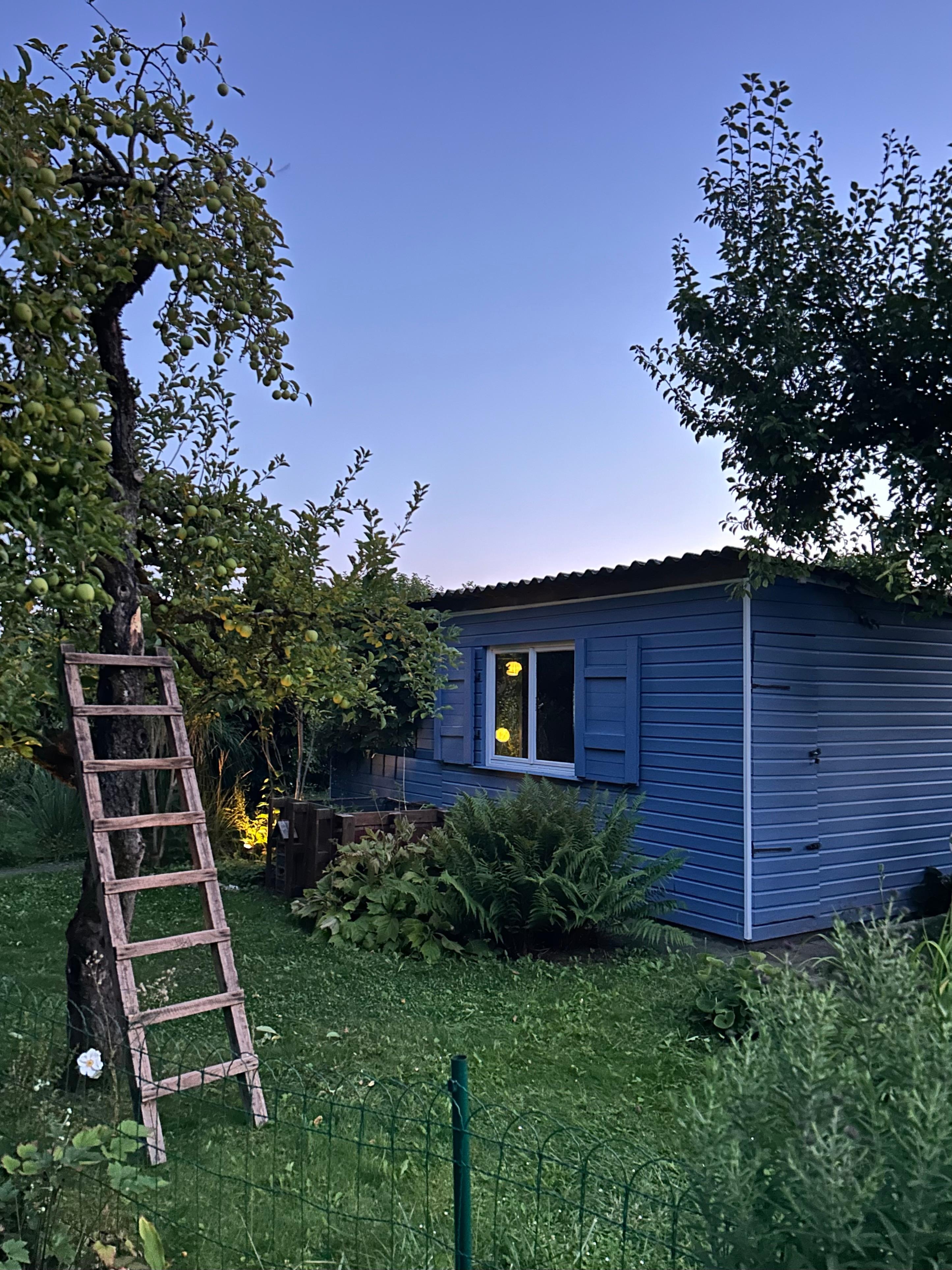 #kleingarten #garden #apfelernte #holtzleiter #lights #abendstimmung