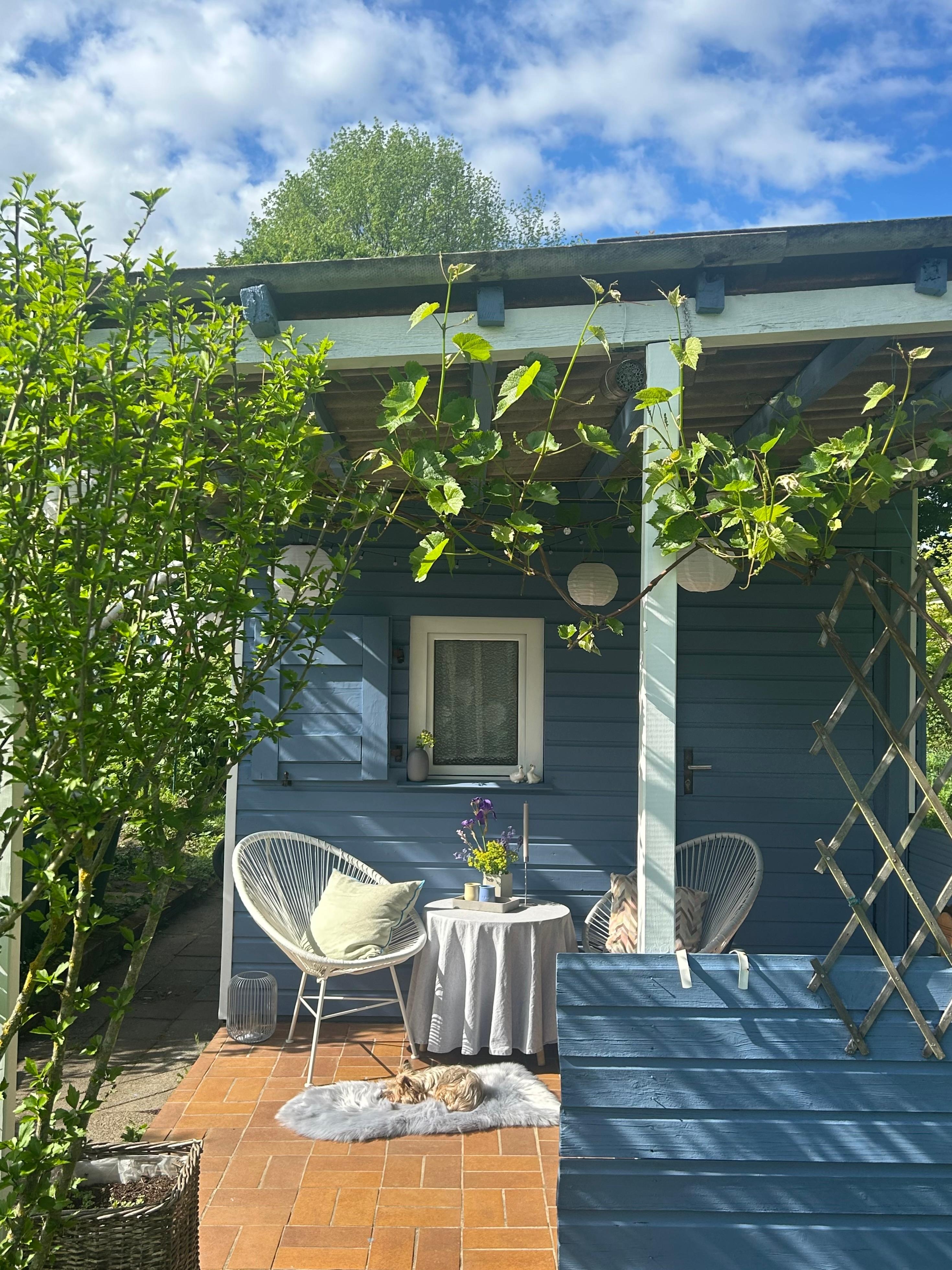 #kleingarten #schrebergarten #garteninspo #draußenzuhause #gartensessel #laube 