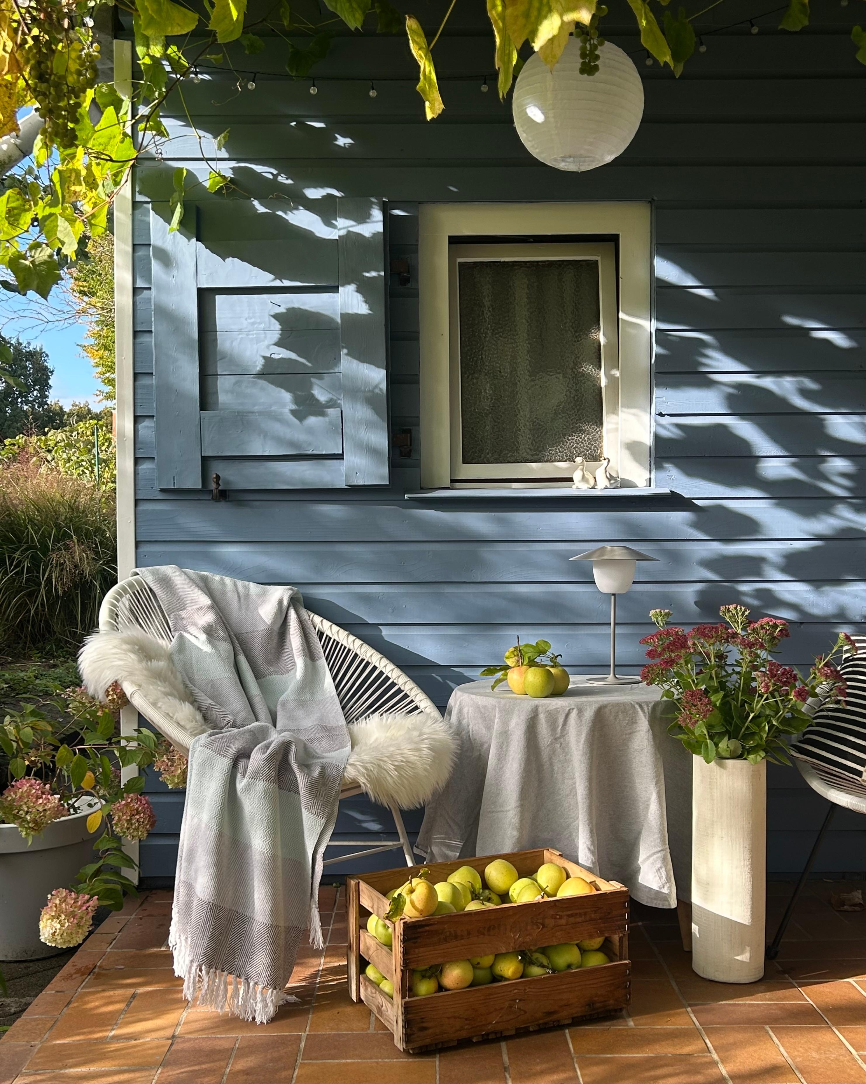 #kleingarten #schrebergarten #herbst #apfelernte 