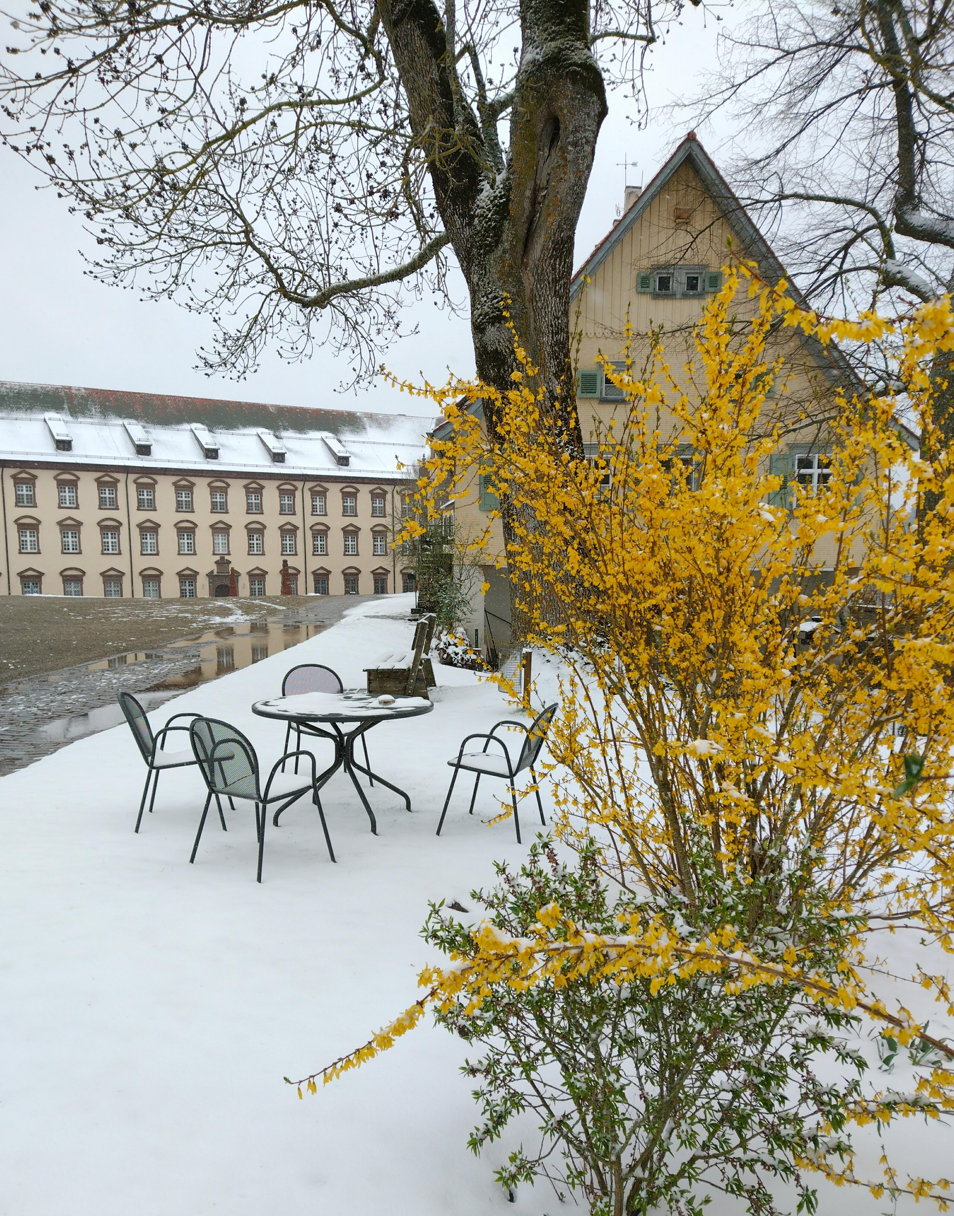 #klosterkirchberg #sulzamneckar #schnee #blüten #bäume #gebäude