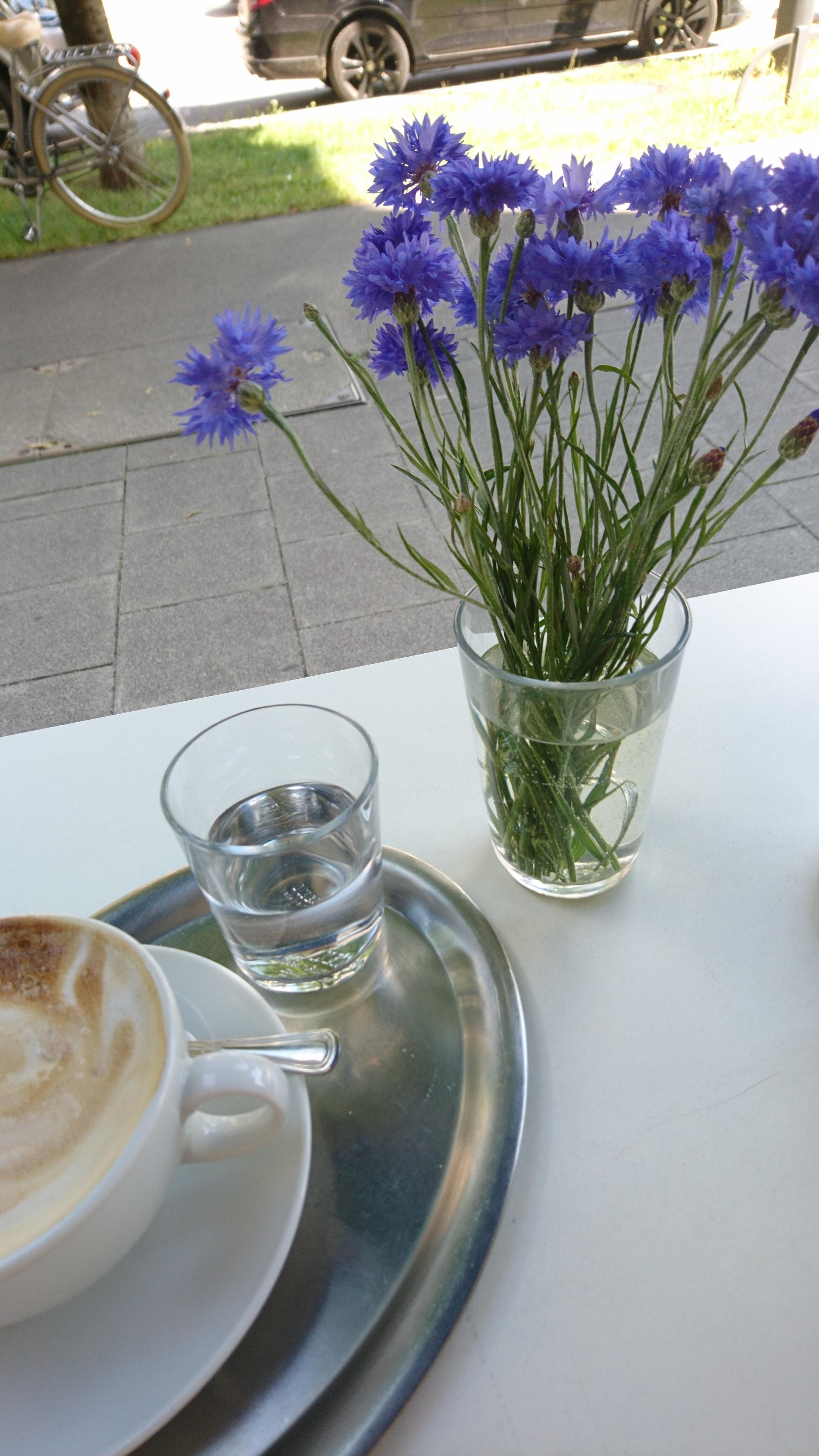 Kornblumen & Kaffee mitten in der City ☀️

#Lifeisgood