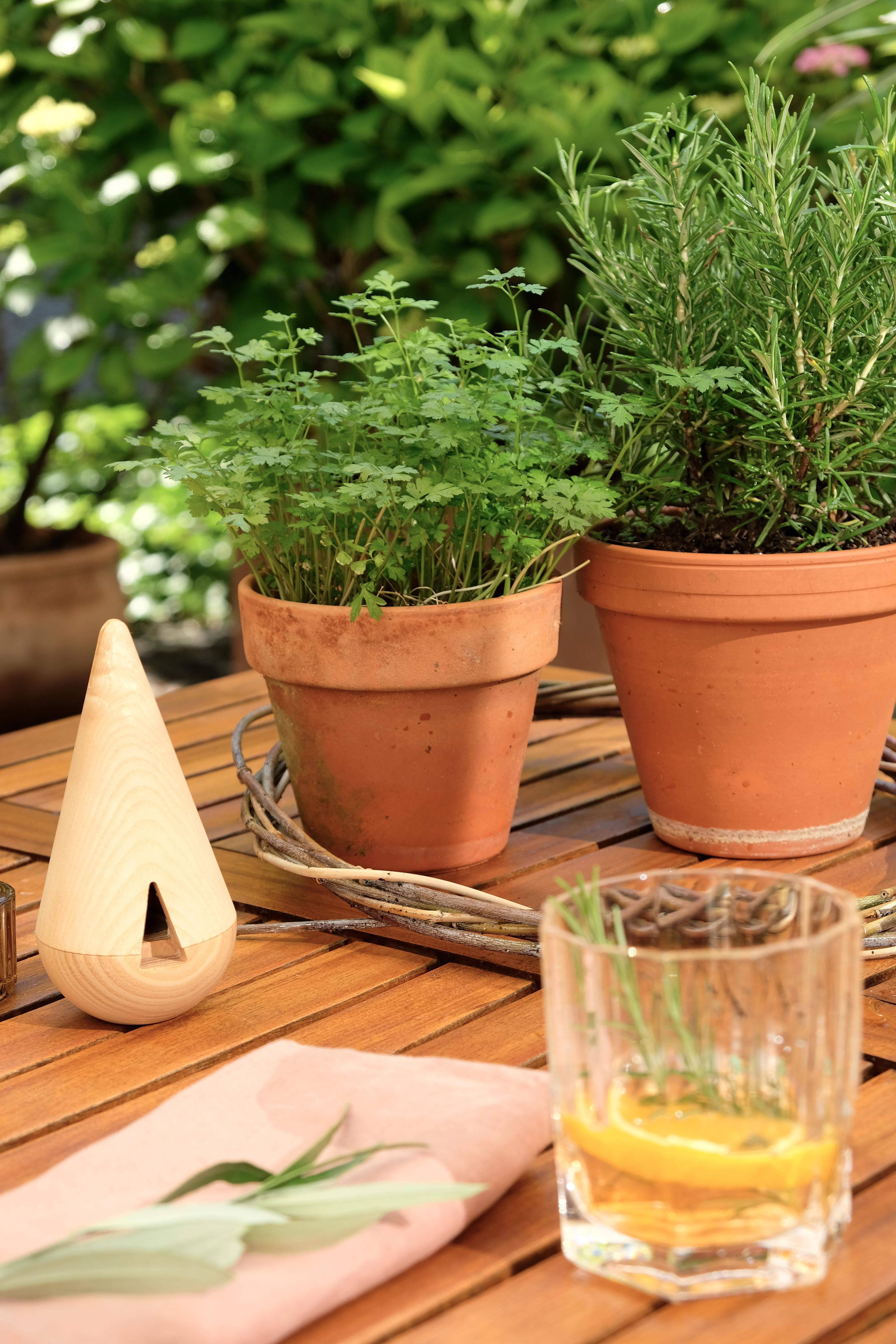 Kräutertöpfe und Räucherfiguren für den sommerlichen #Gartentisch
 
#incensecones #räucherkegel #summervibes #sommerterrasse