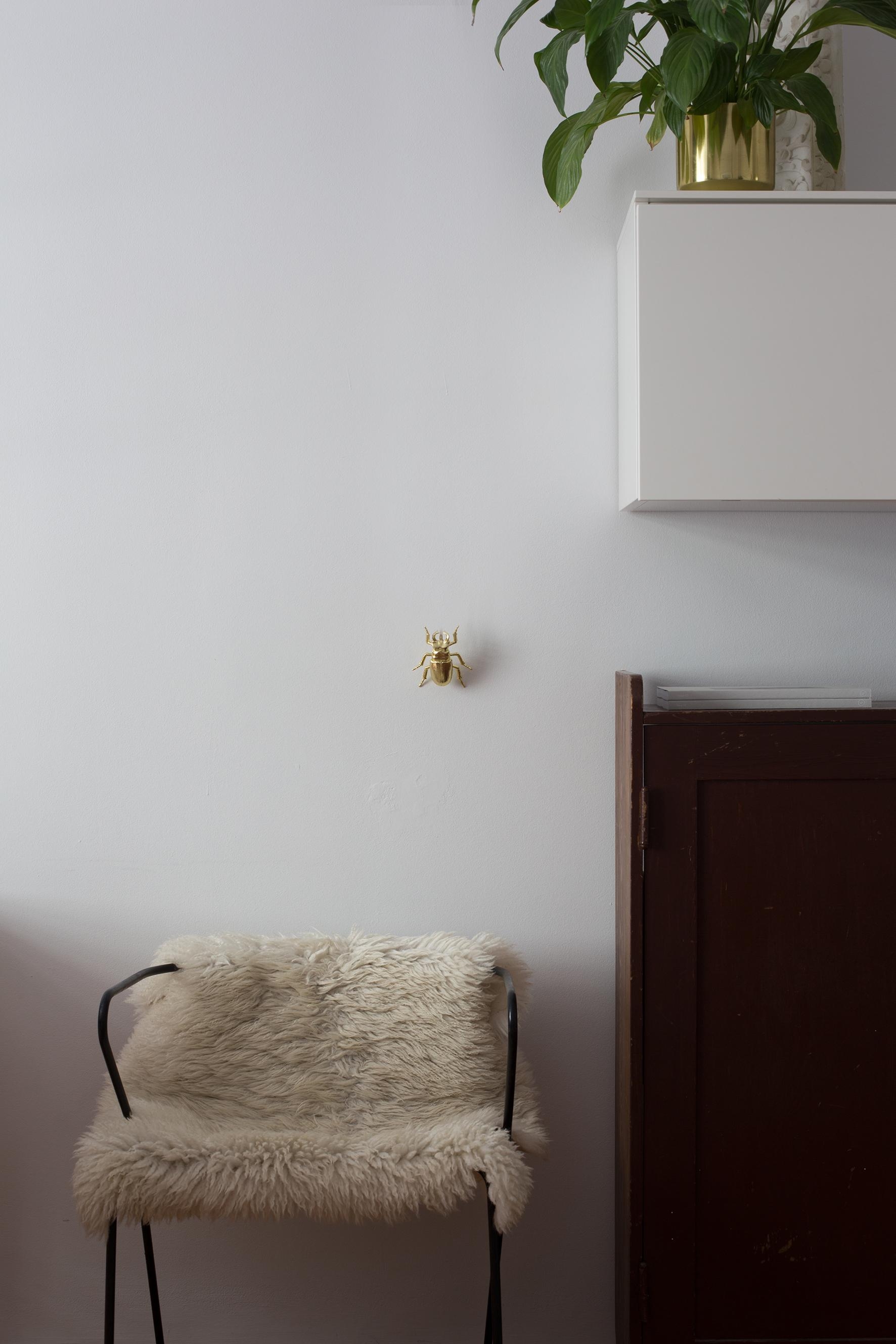 kribbel.krabbel.käfer. #deko #wanddeko #vintage #haustier #wohnzimmer