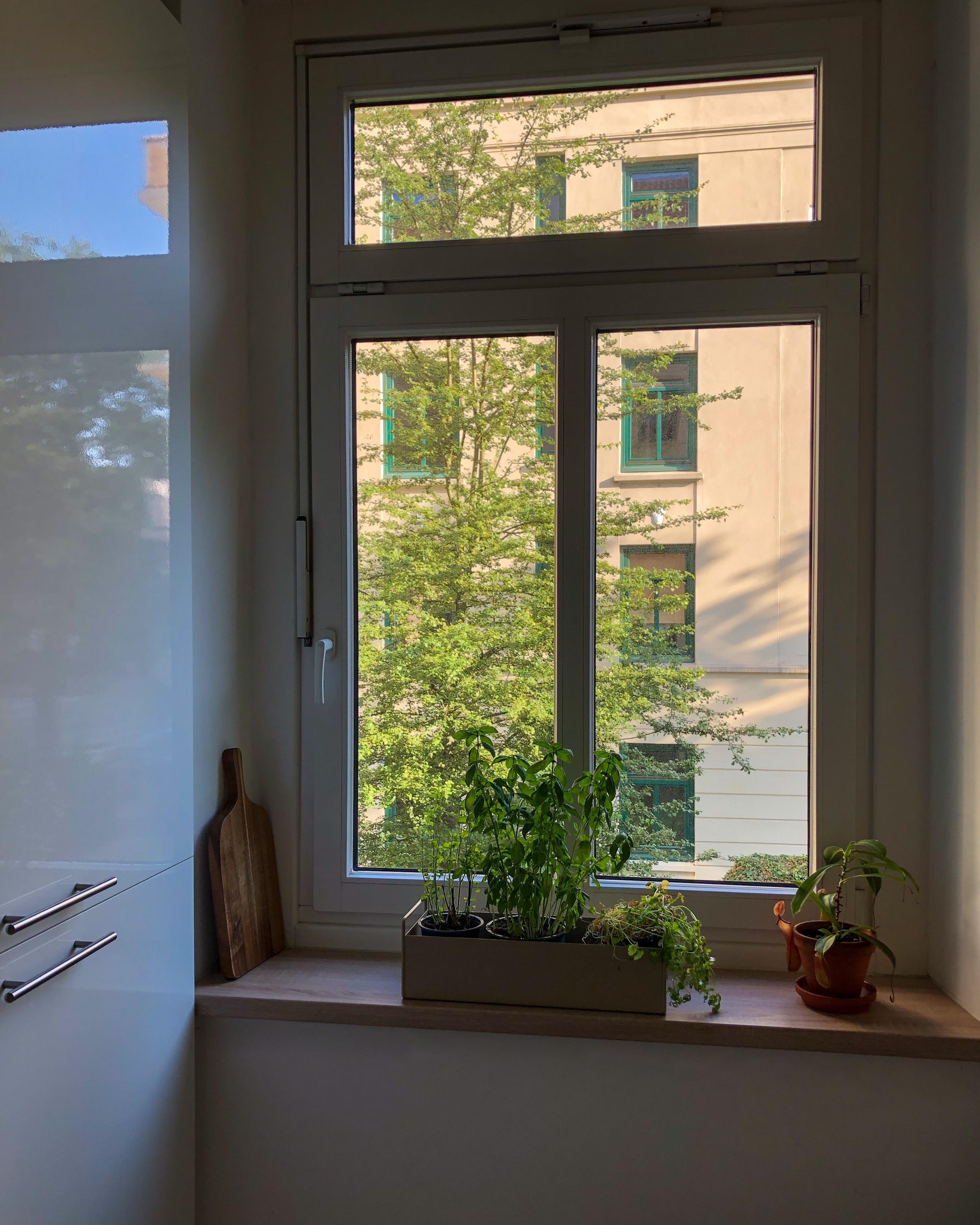 #küche #küchenfenster #plantbox #küchendetails #morgenröte #cleanliving #grossstadtwohnung #hamburginterior