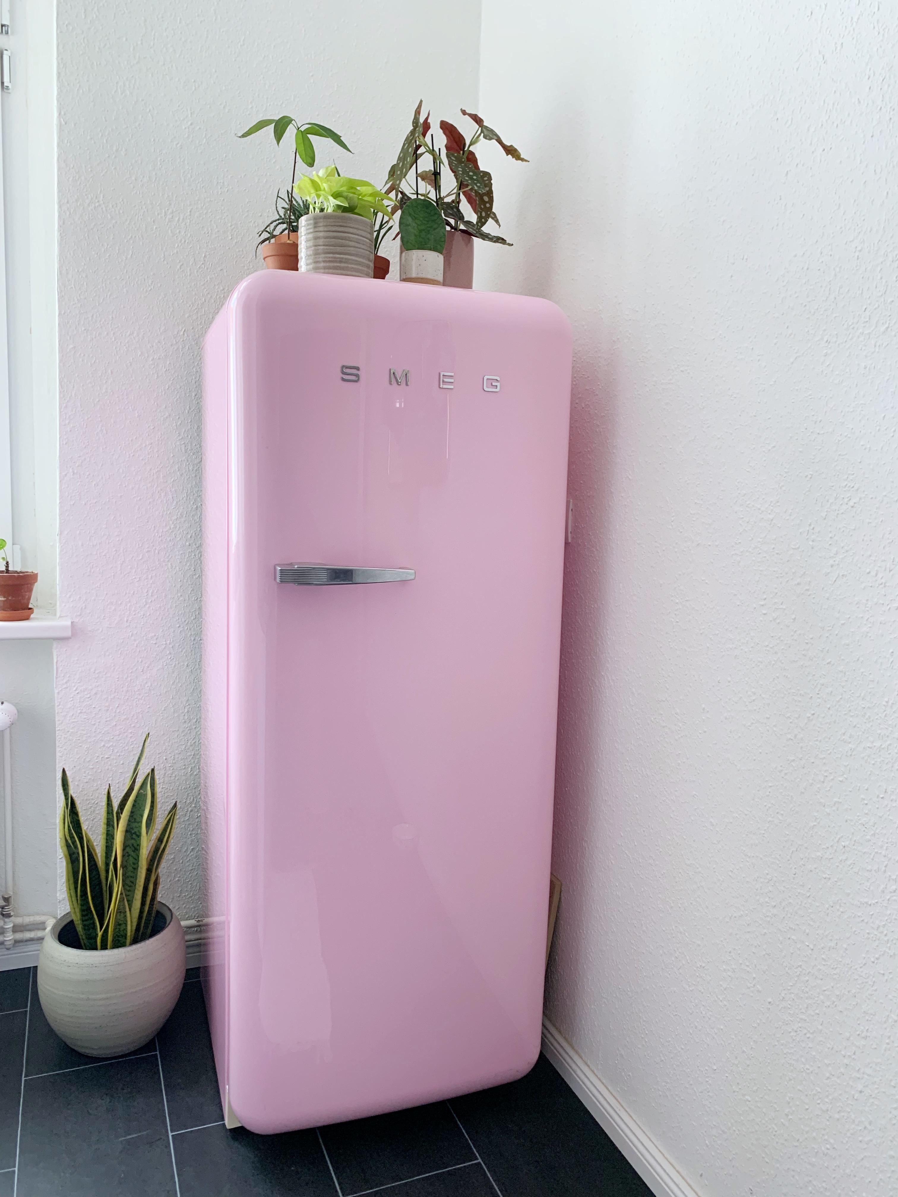#küche #kühlschrank #rosa