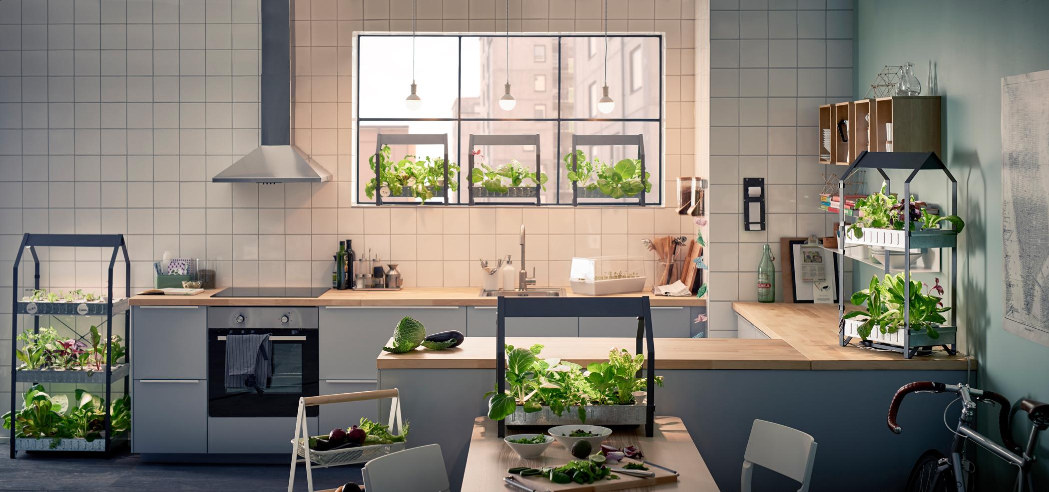 Küche mit modernen Elementen #stuhl #esstisch #ikea #weißerstuhl #zimmerpflanze #zimmergestaltung ©Inter IKEA Systems B.V.