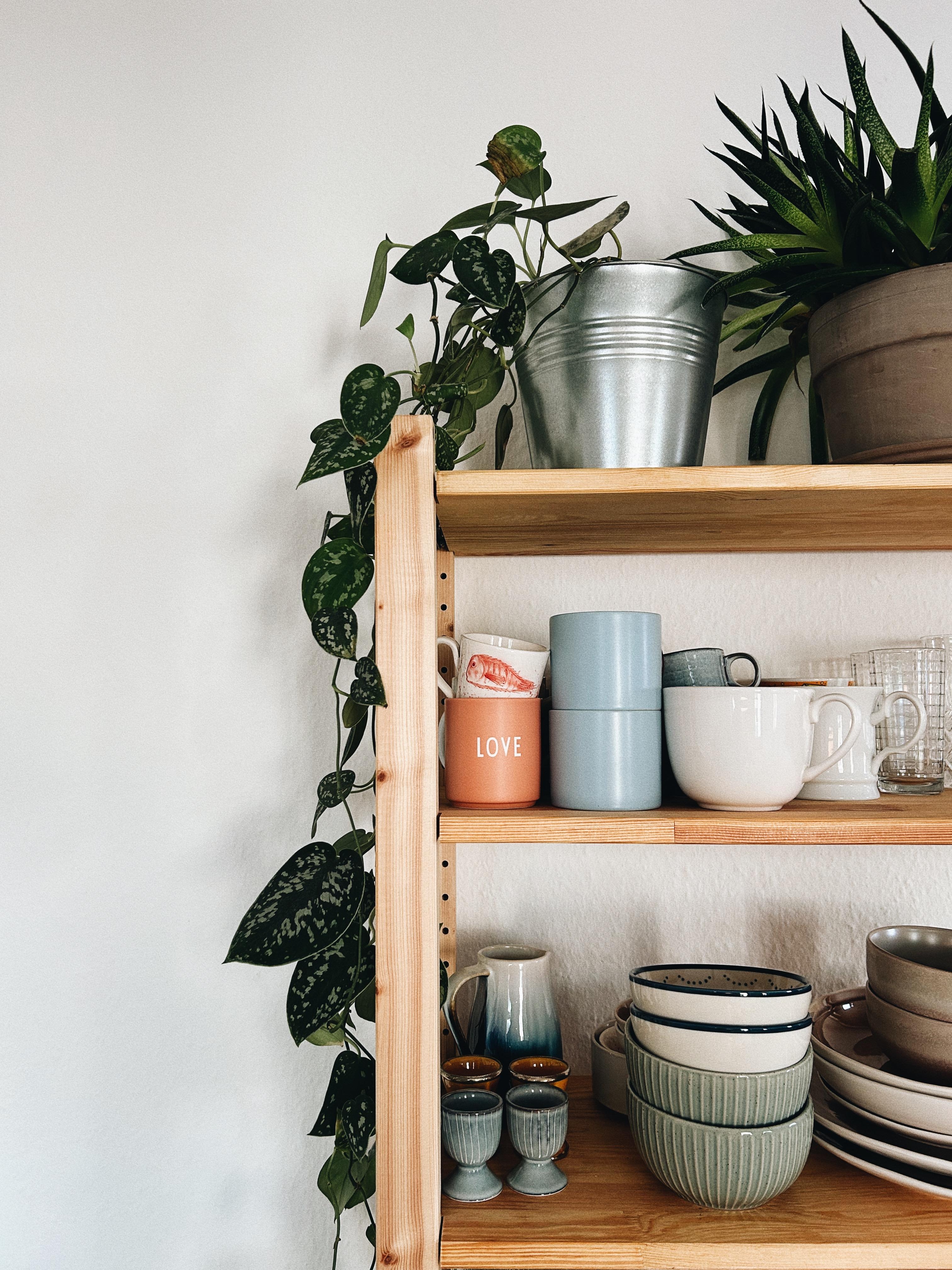 Küchen-Sammelsurium.

#kitchenshelf #ceramiclover #geschirr #küchenregal #kitchenstories