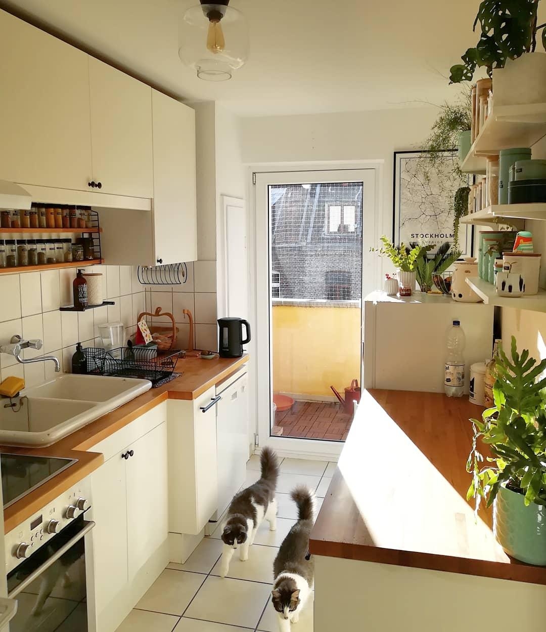 #küchenliebe #shelfie #kitchen #urbanjunglebloggers #urbanjungle