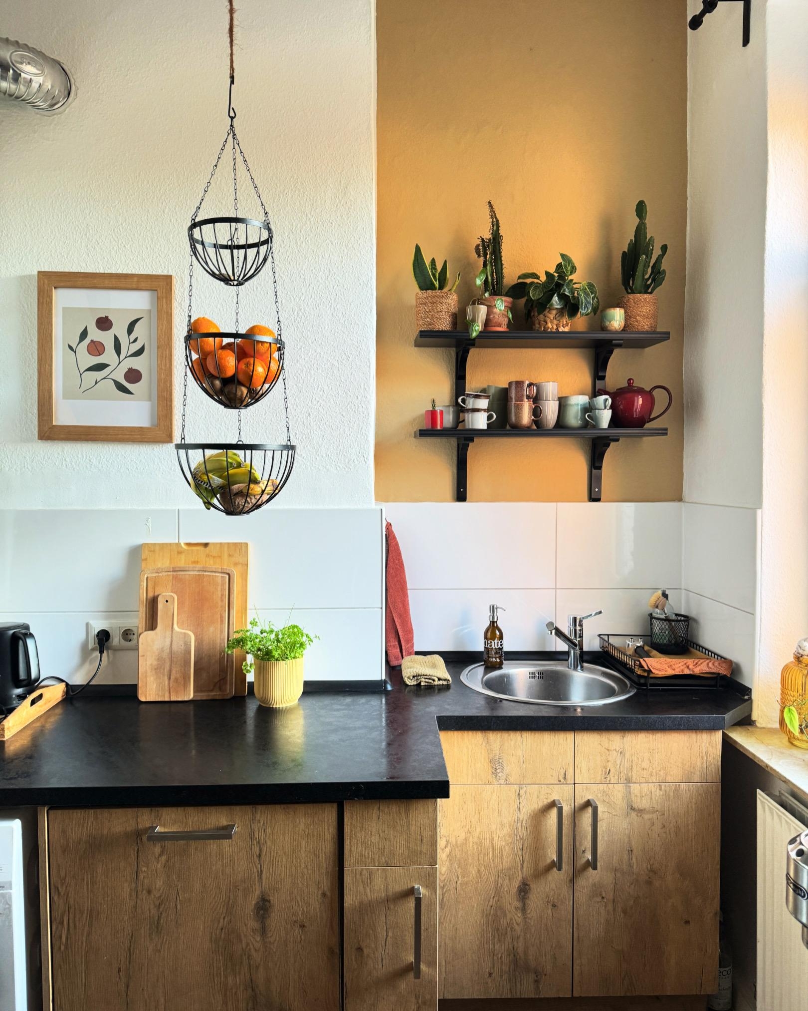 Küchennische 💛
#küche #altbau #altbauwohnung #wandfarbe #wandregal #küchennische #smallkitchen #colorful #plantlove #kitcheninspo #kücheninspo 