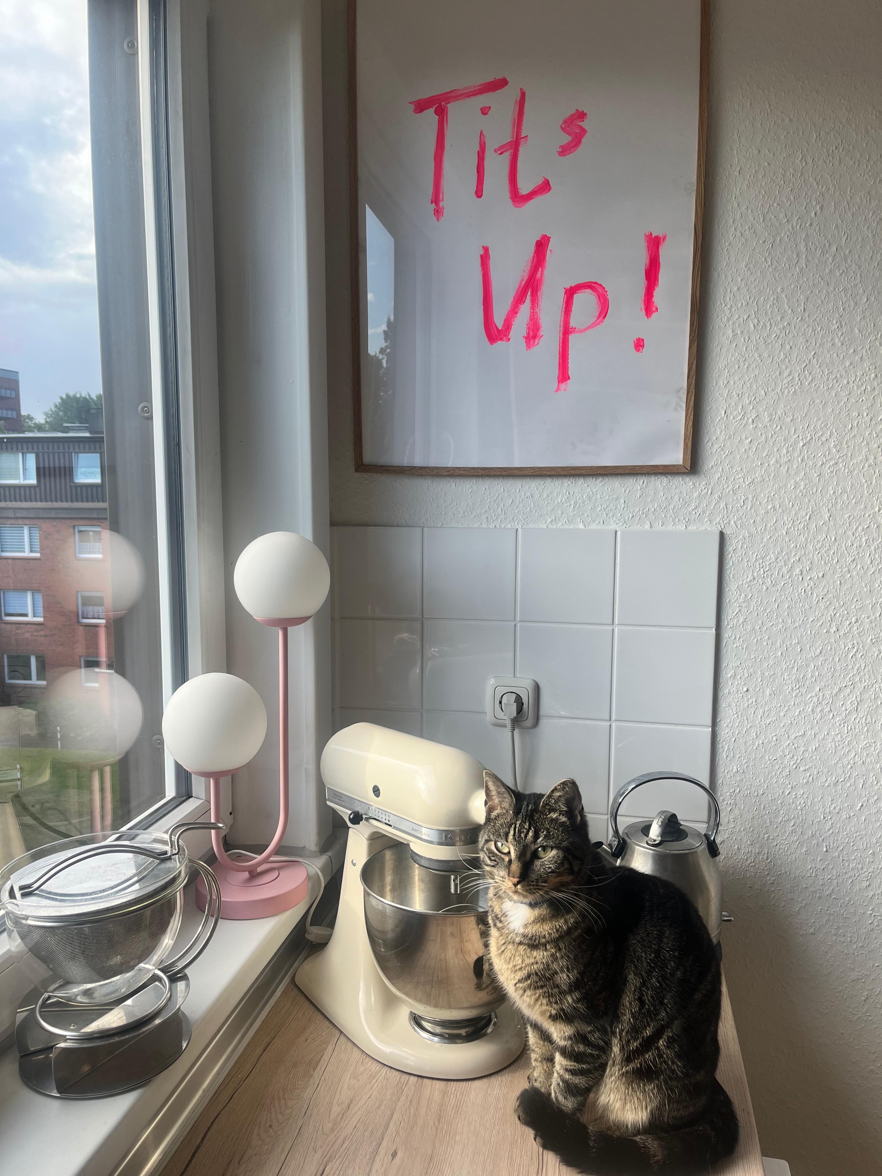 Küchenstorys 

Die Katze ist immer dabei ☺️
#poster #küche #neon #art #katze