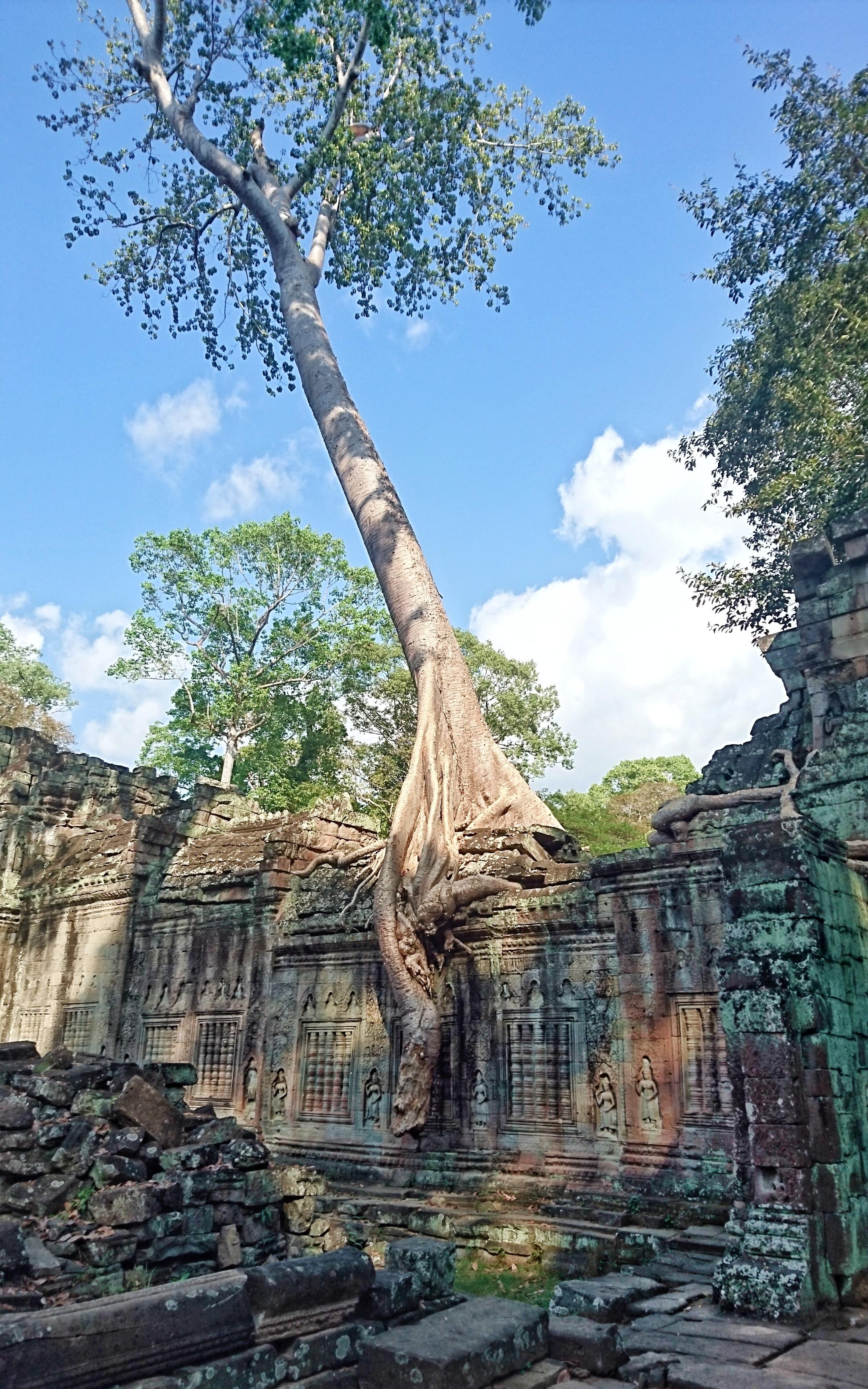 Kultur trifft Natur in #kambodscha #travel